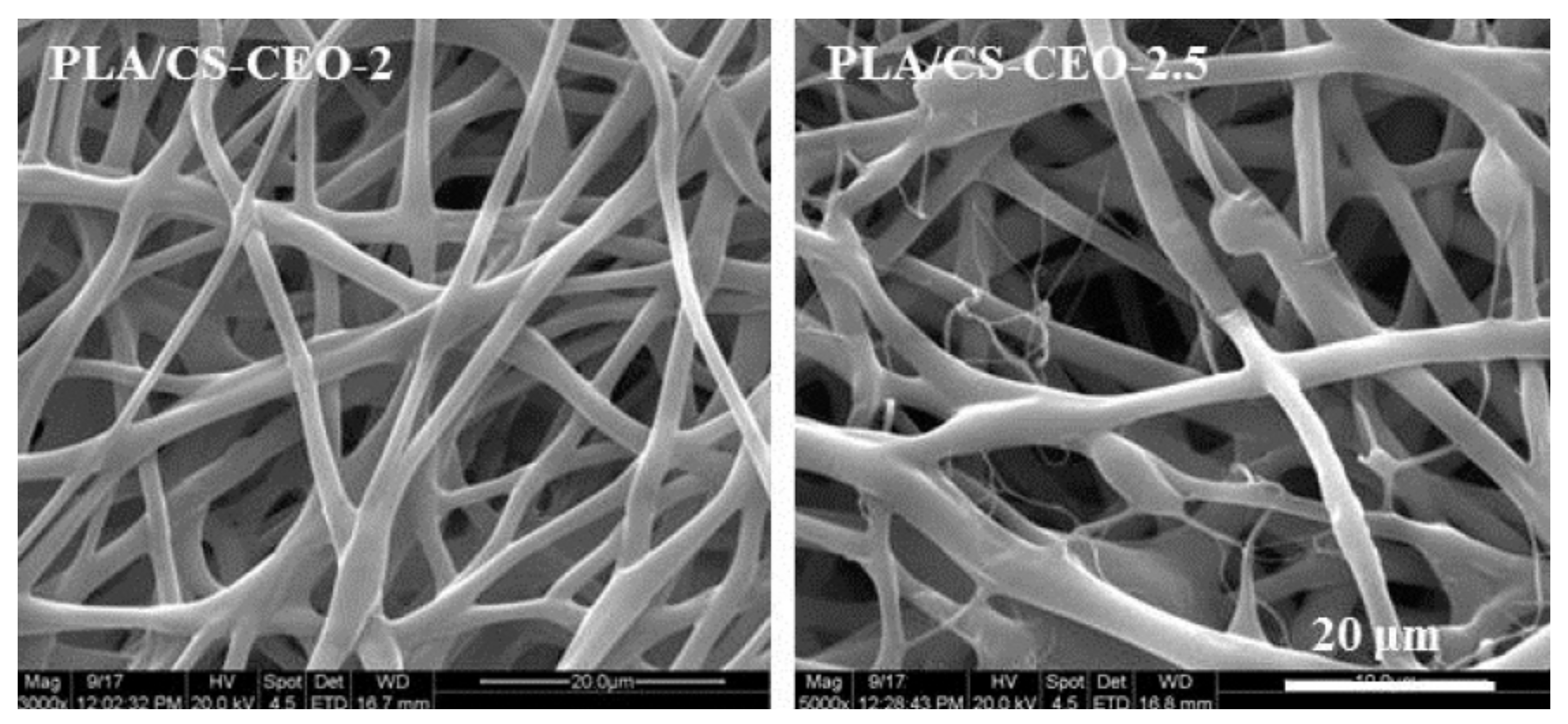 Polymers 13 03771 g003