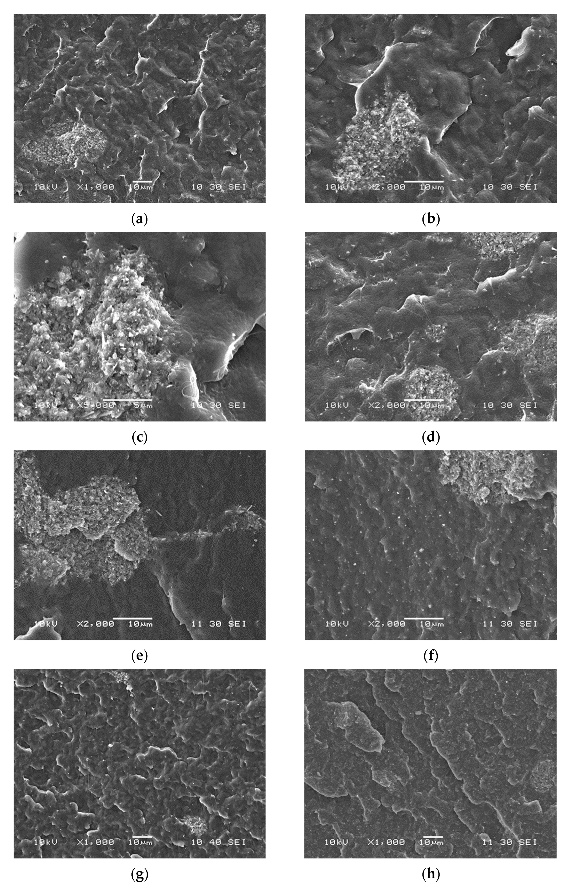 Polymers 13 03772 g002a
