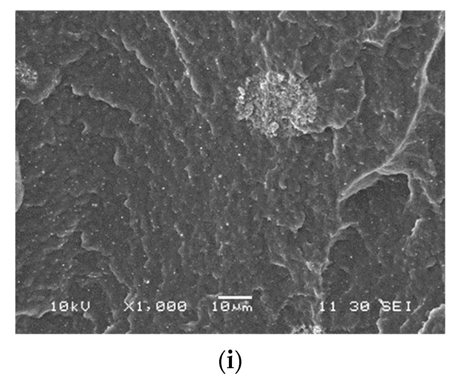 Polymers 13 03772 g002b