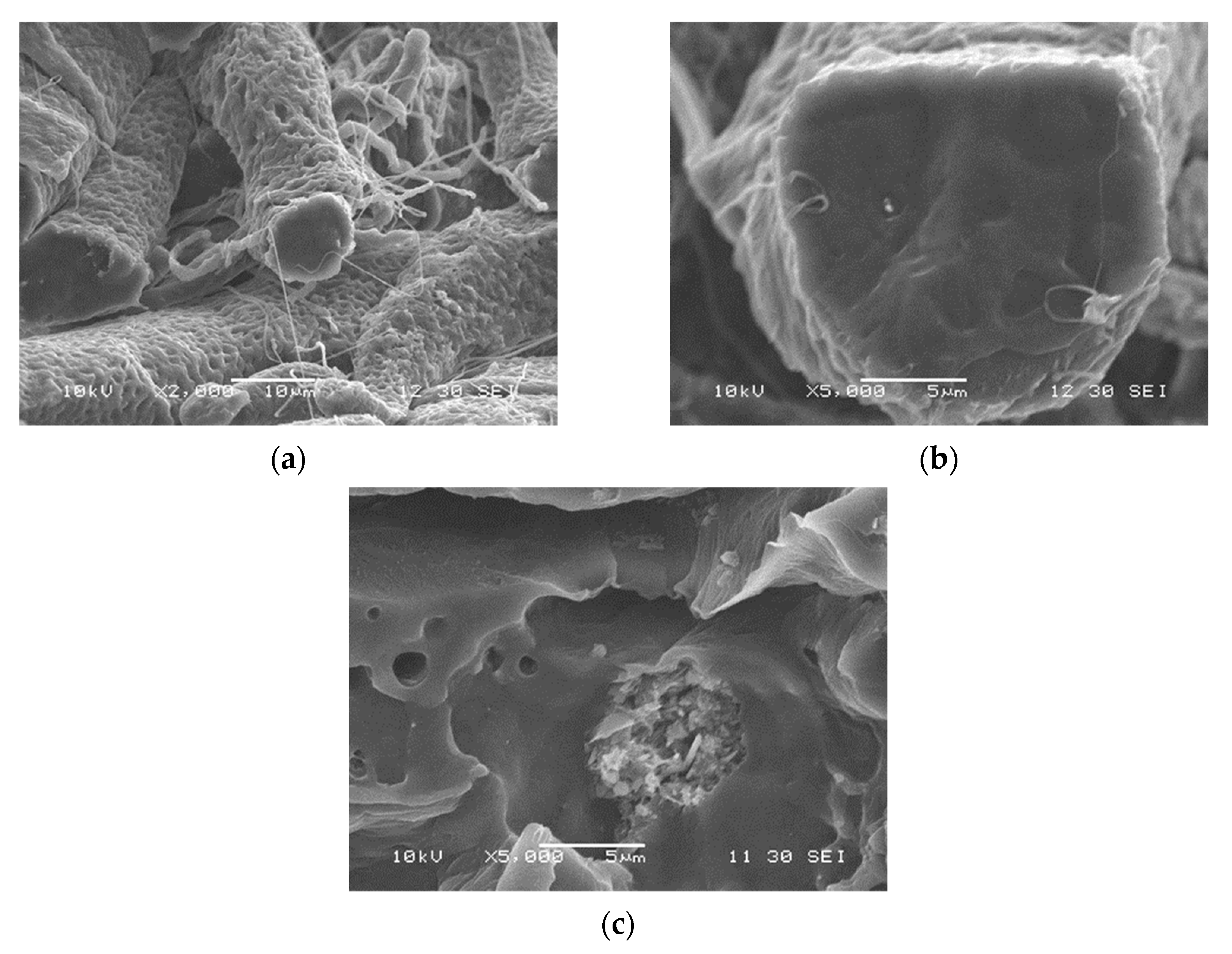 Polymers 13 03772 g009