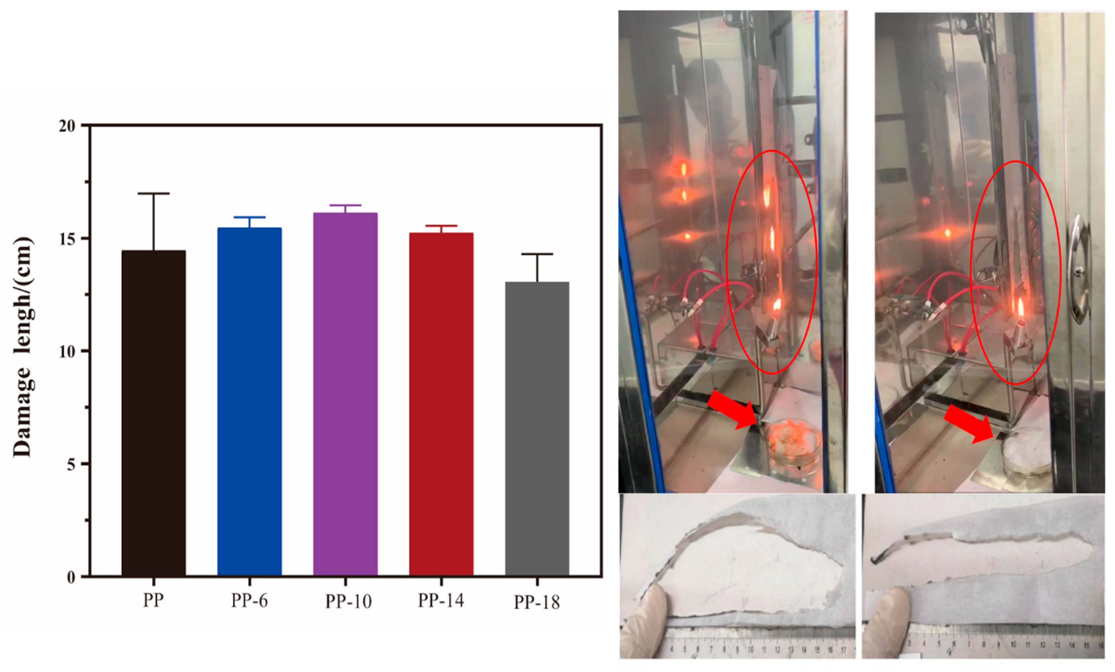 Polymers 13 03773 g004
