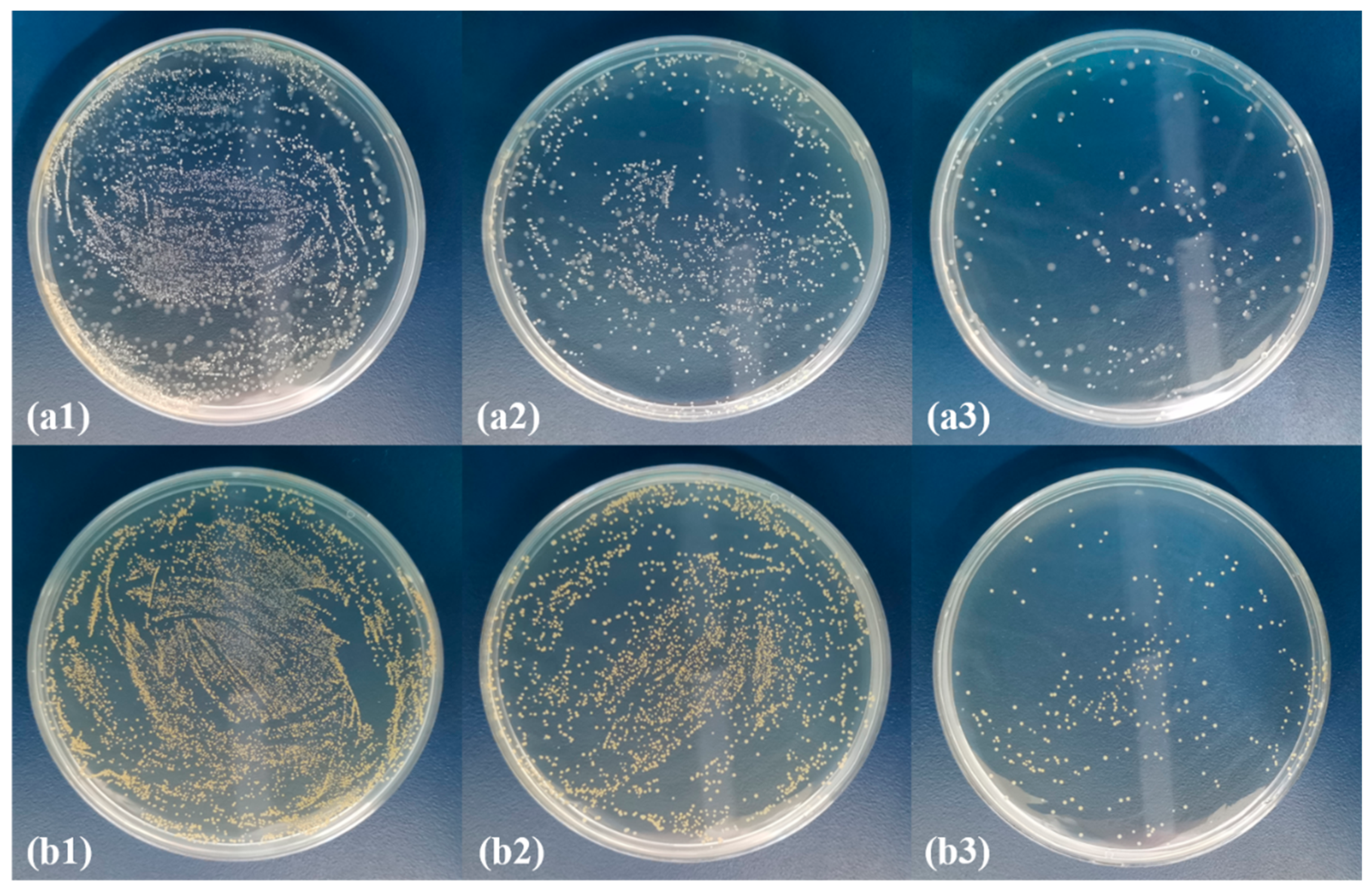 Polymers 13 03773 g008