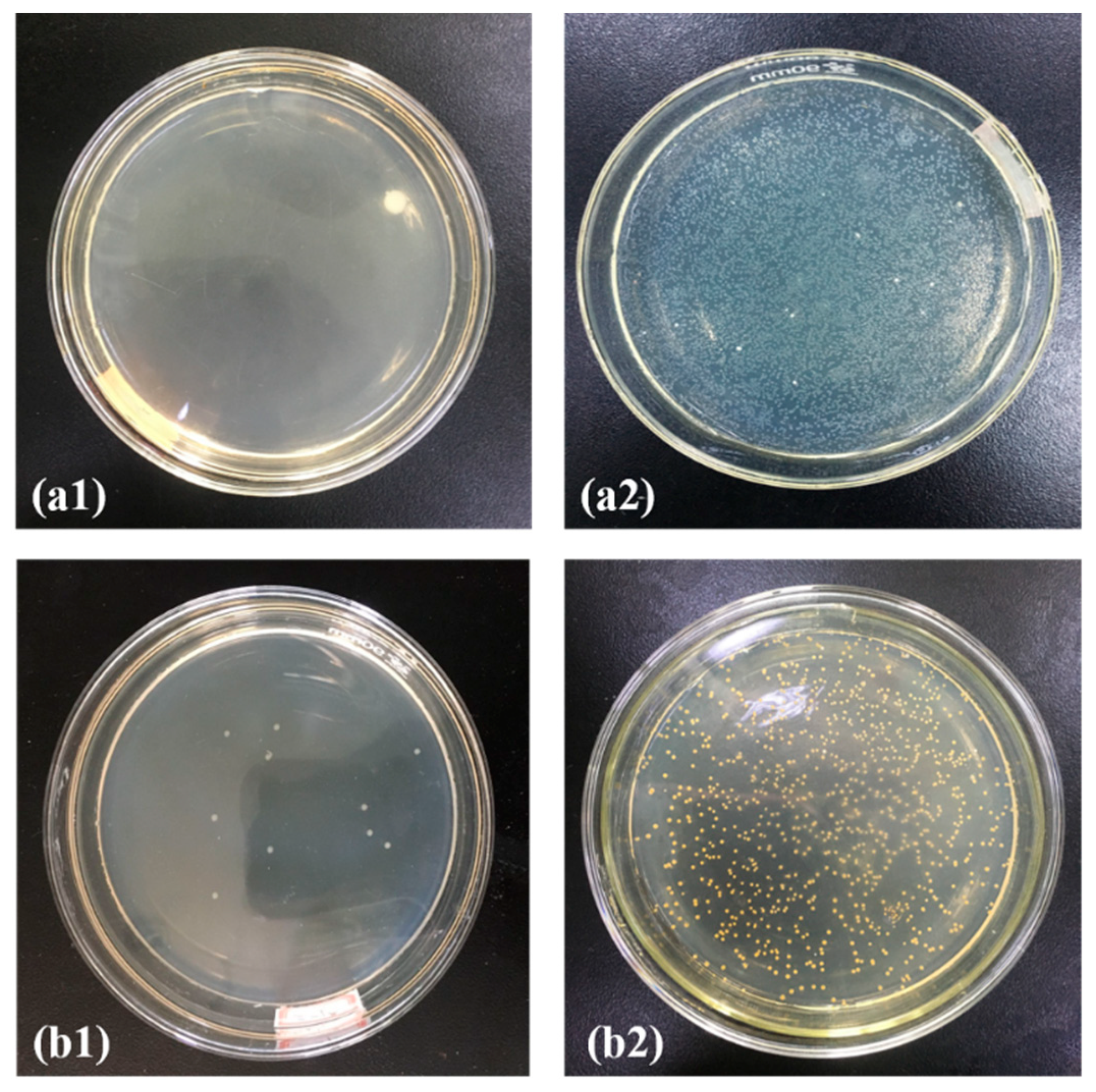 Polymers 13 03773 g009