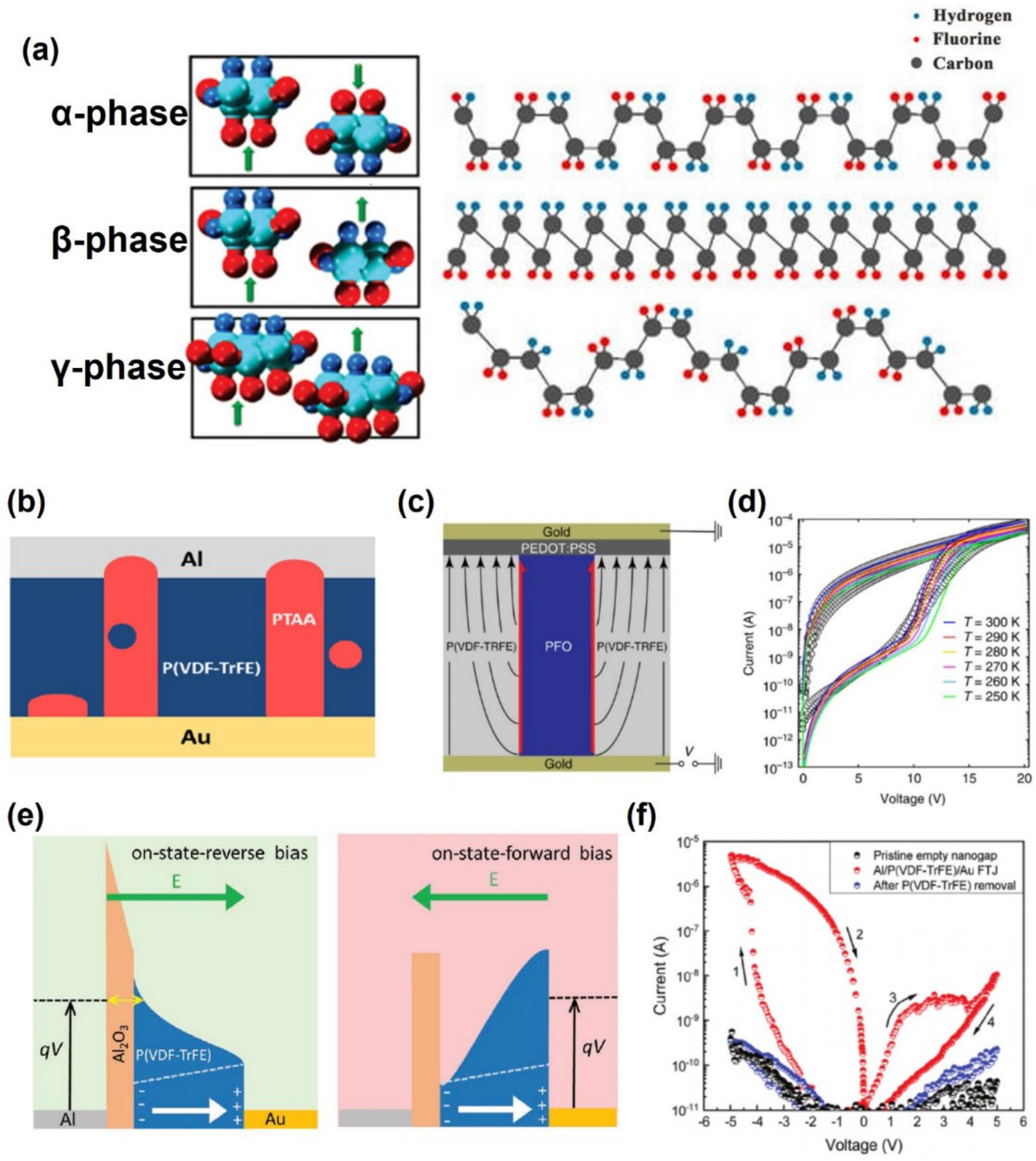Polymers 13 03774 g004
