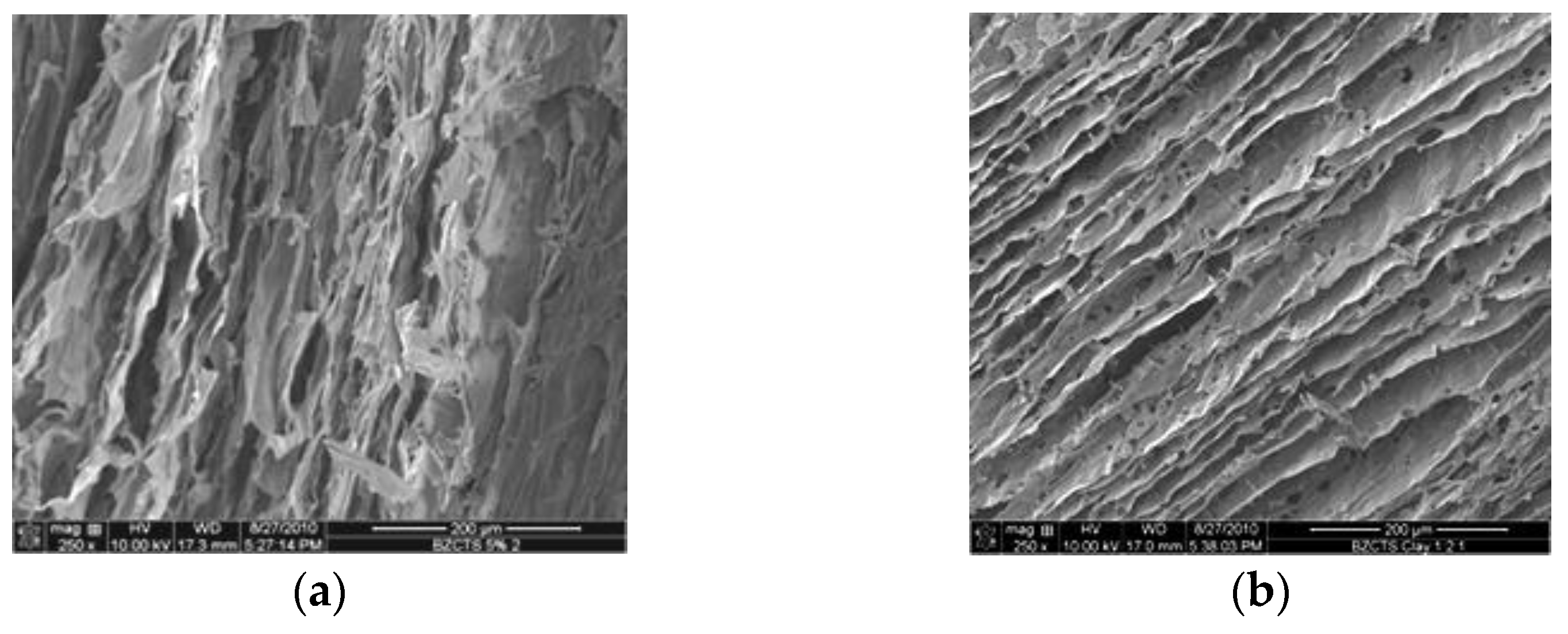 Polymers 13 03775 g003 Polymers 13 03775 g003