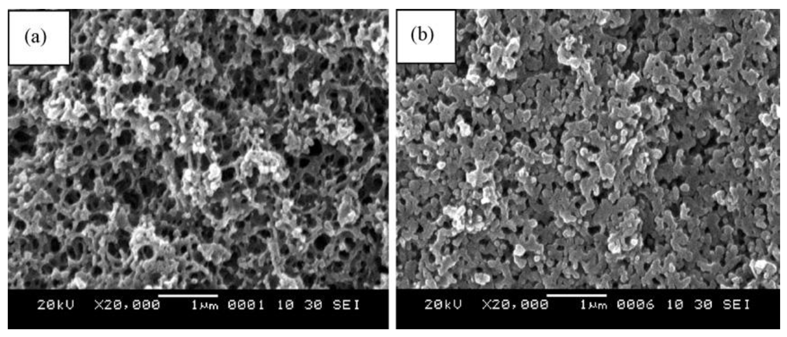 Polymers 13 03775 g029 Polymers 13 03775 g029