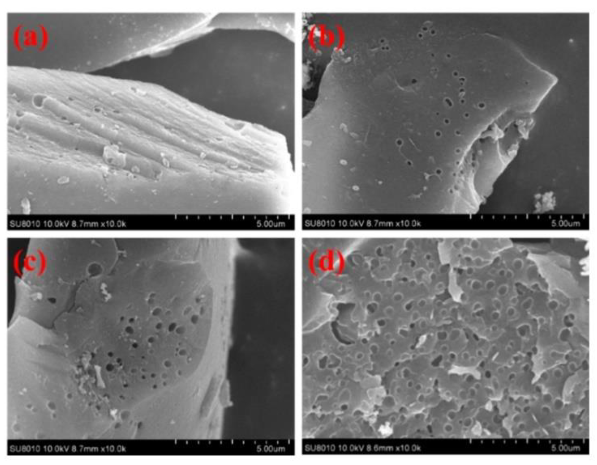 Polymers 13 03775 g038 Polymers 13 03775 g038