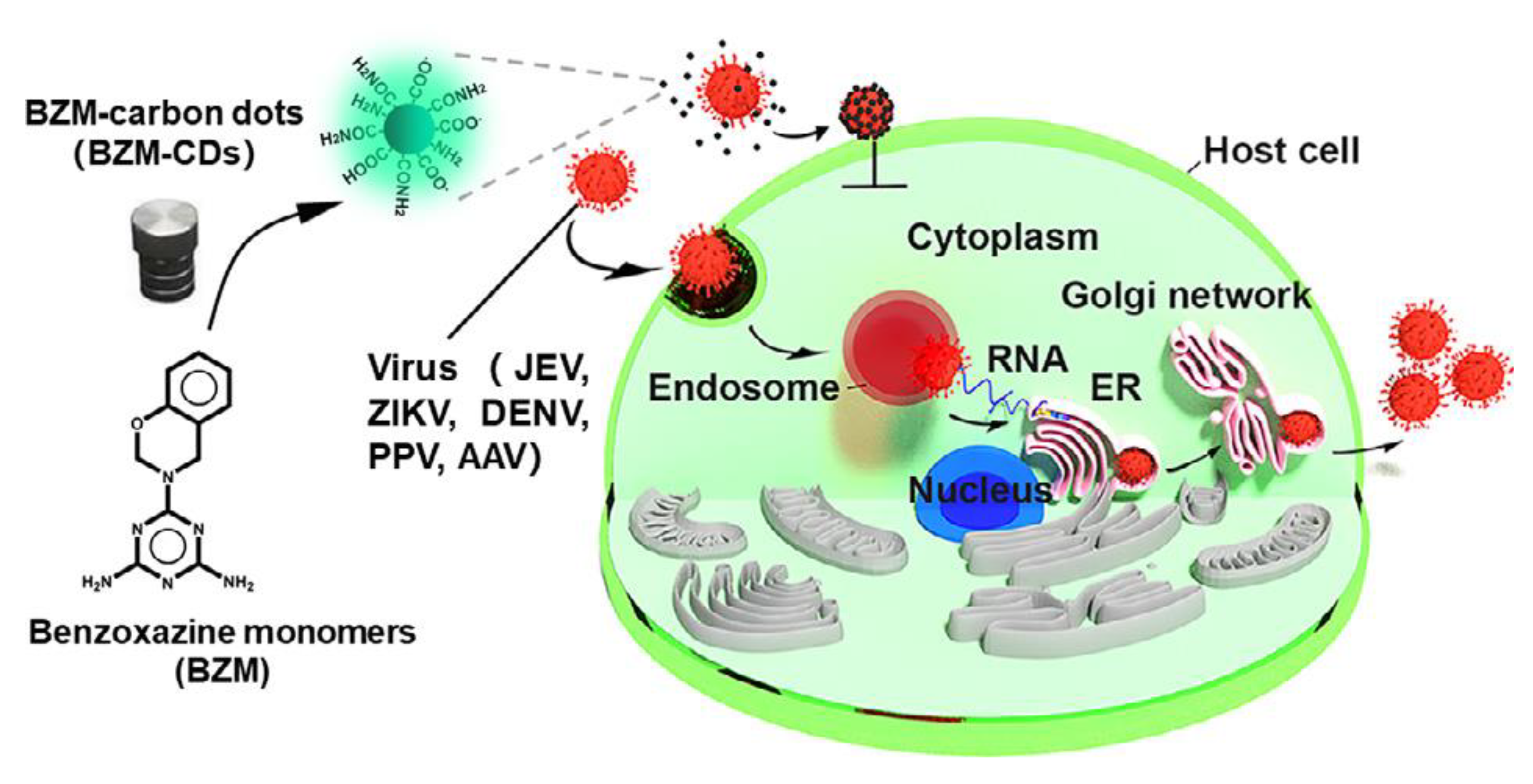 Polymers 13 03775 g052 Polymers 13 03775 g052
