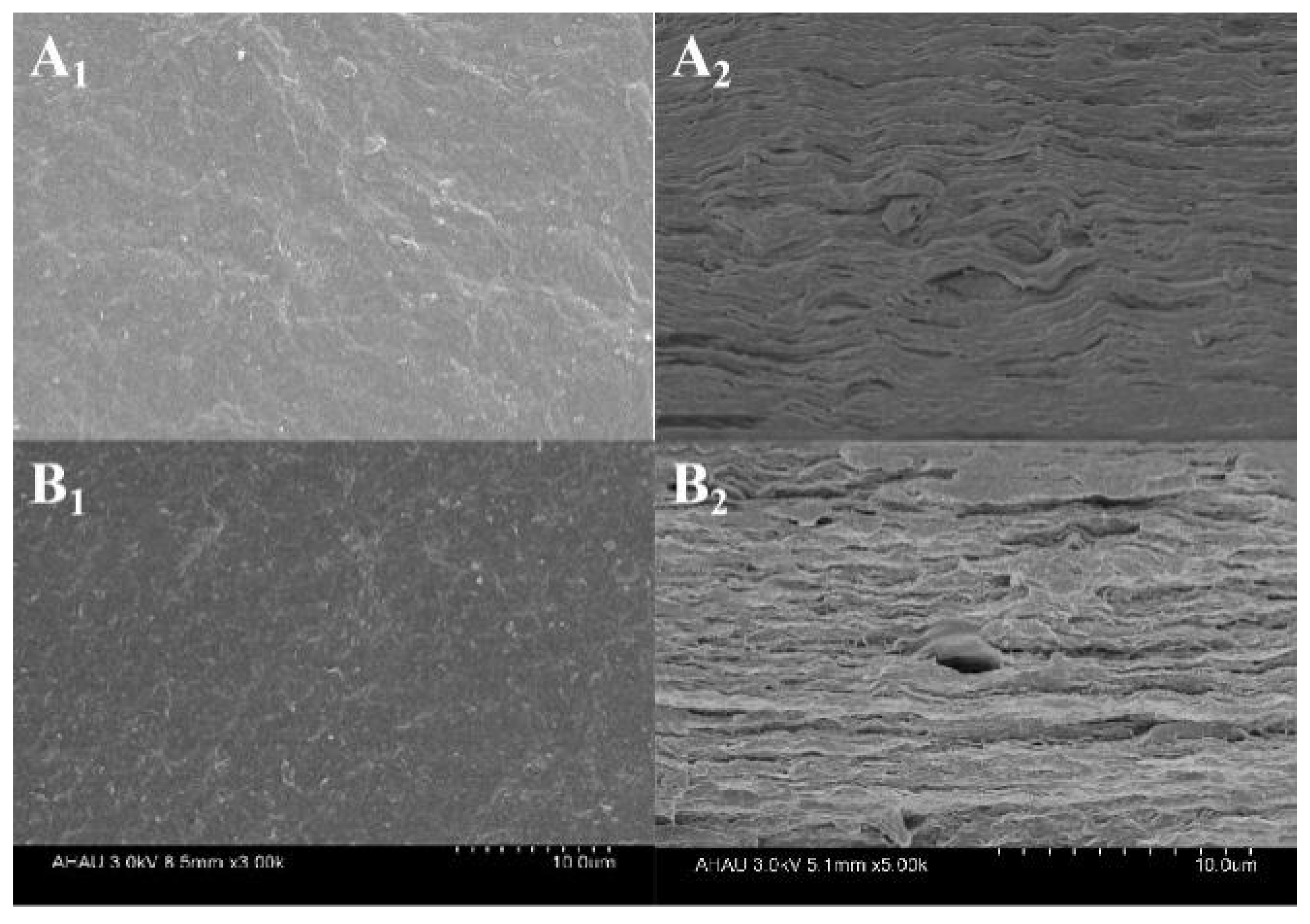 Polymers 13 03777 g002