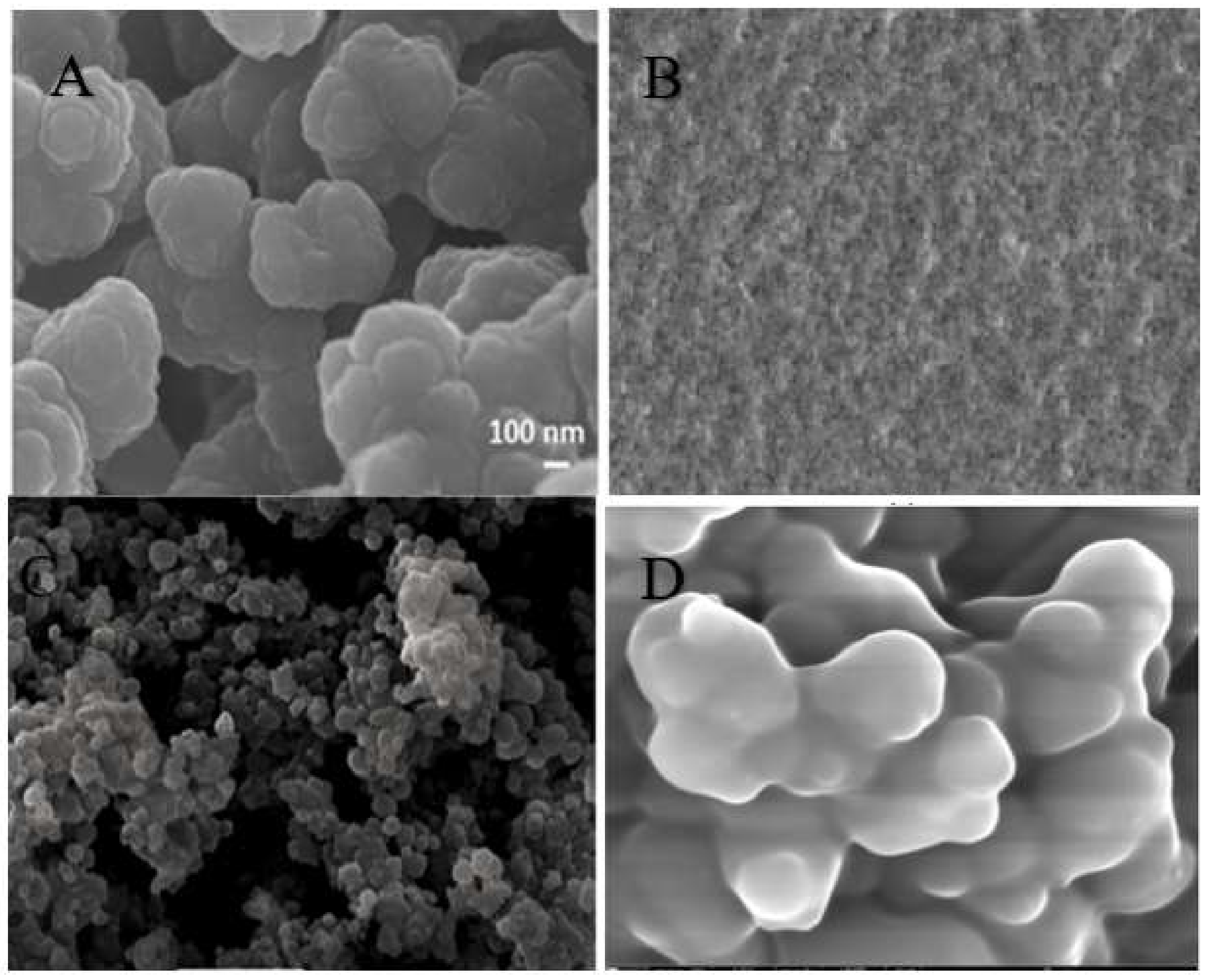 Polymers 13 03780 g003