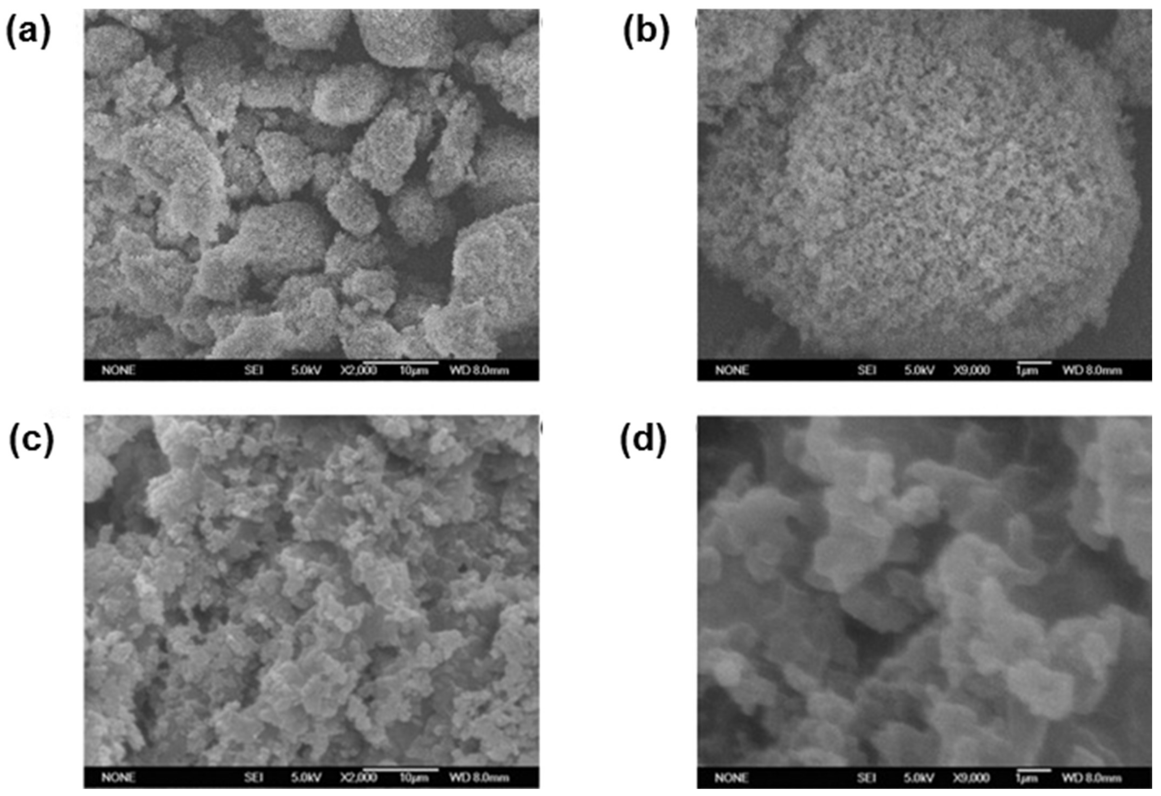 Polymers 13 03780 g006