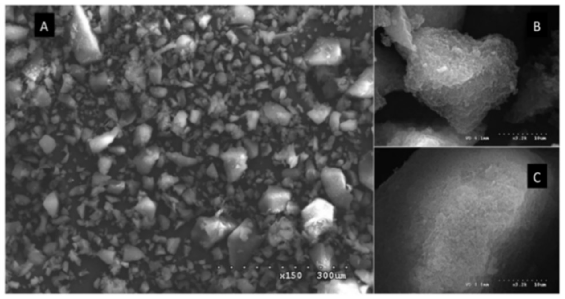 Polymers 13 03780 g007