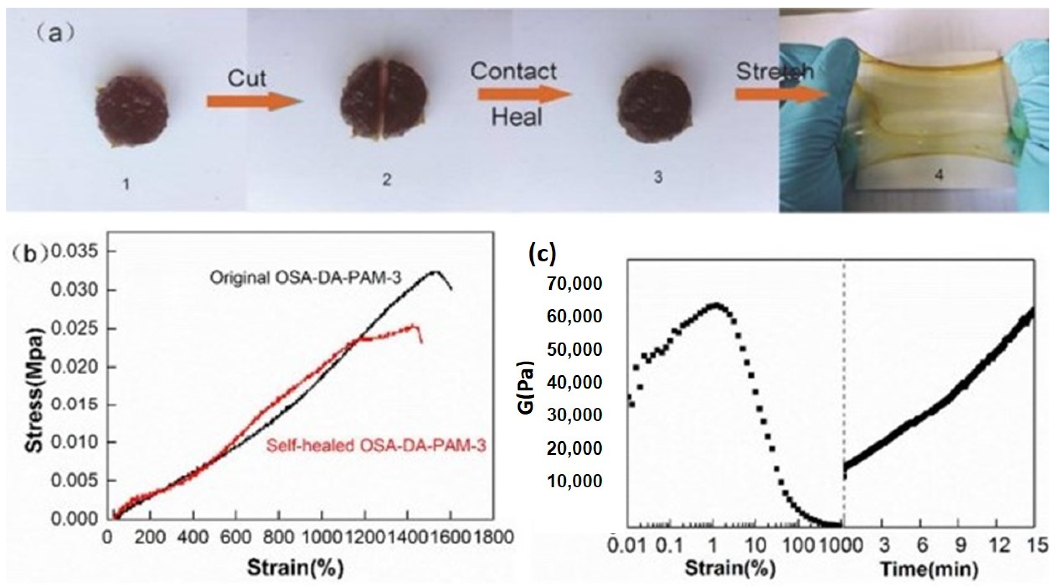 Polymers 13 03782 g007