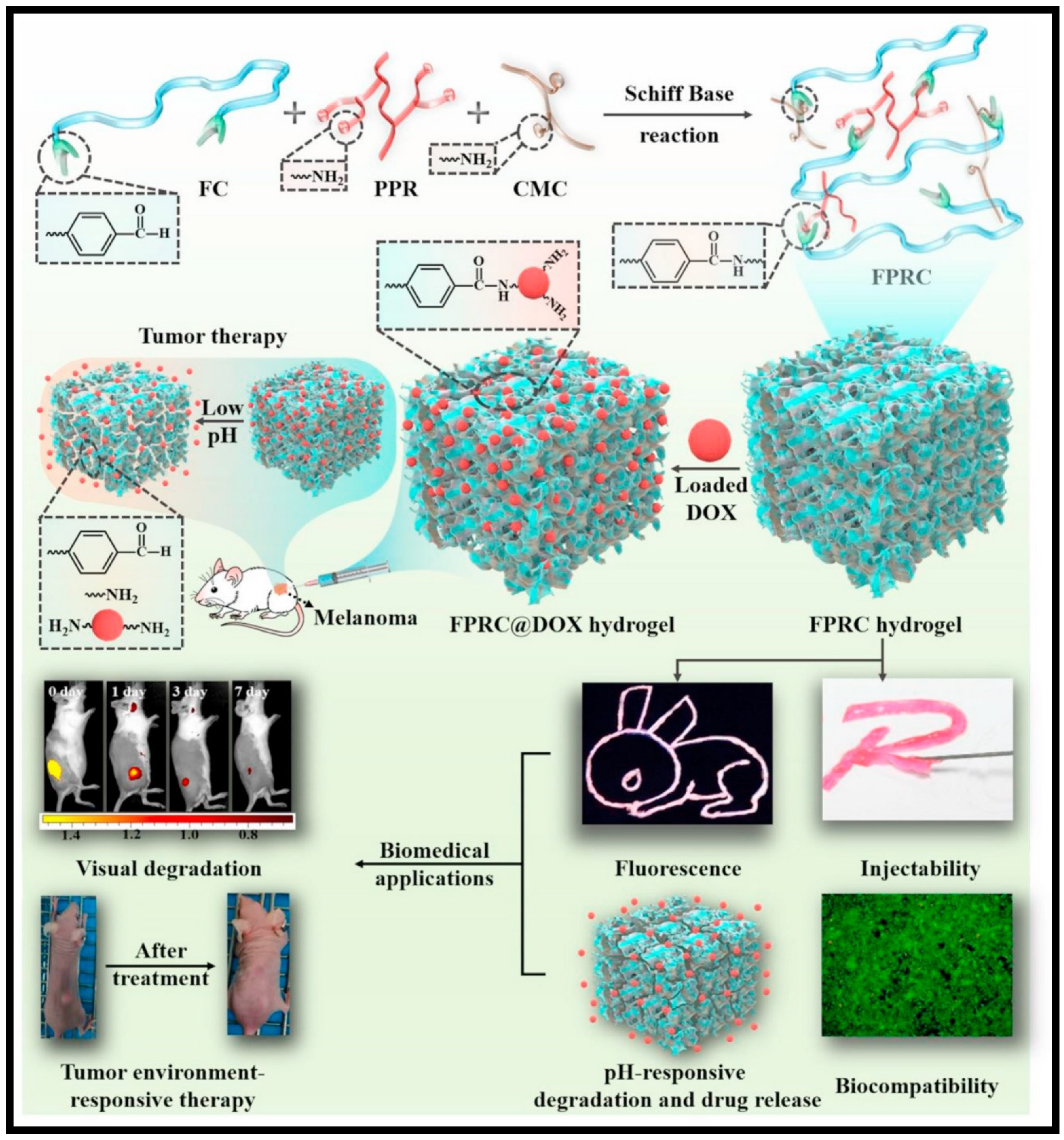 Polymers 13 03782 g008