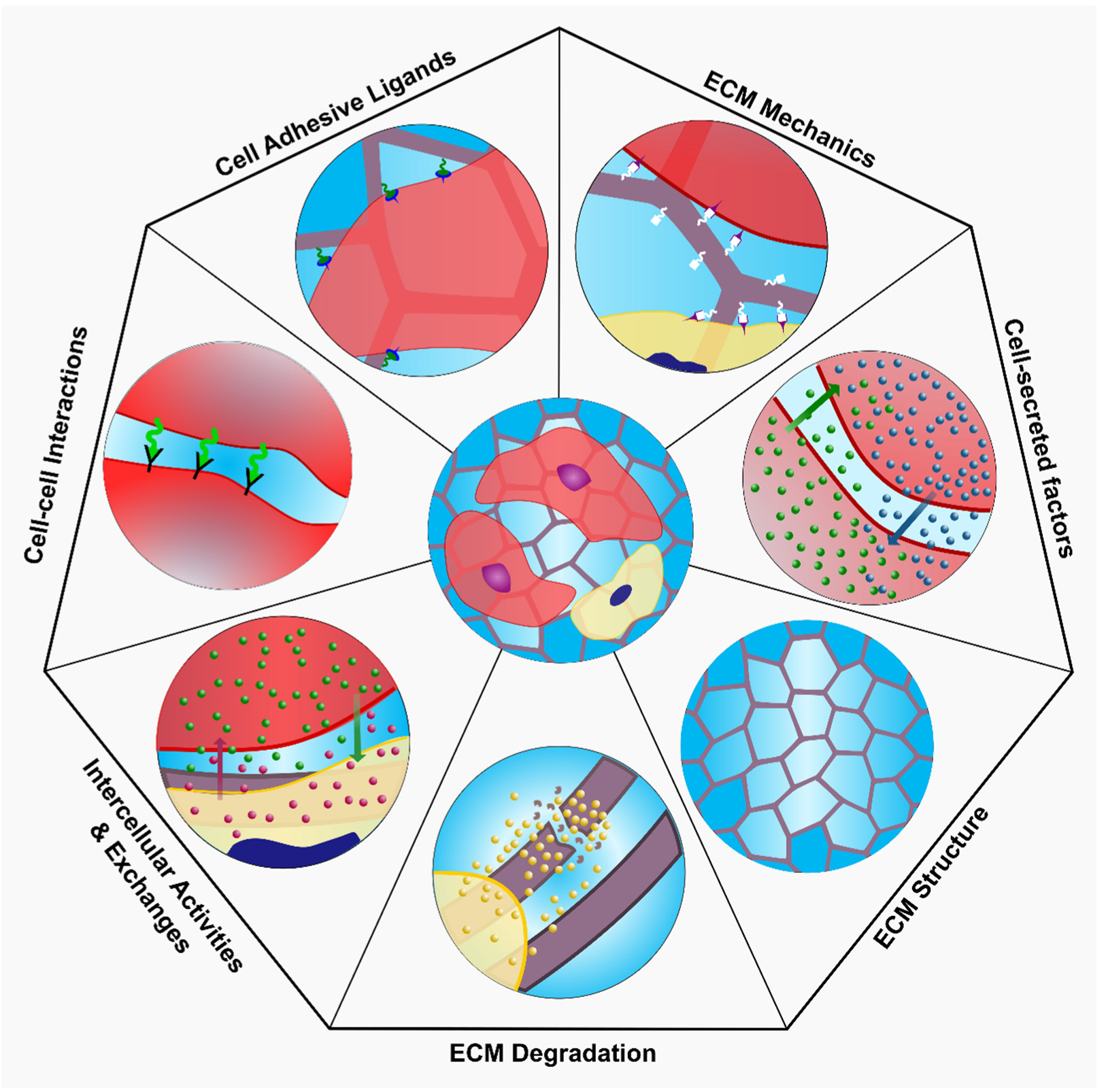 Polymers 13 03782 g012