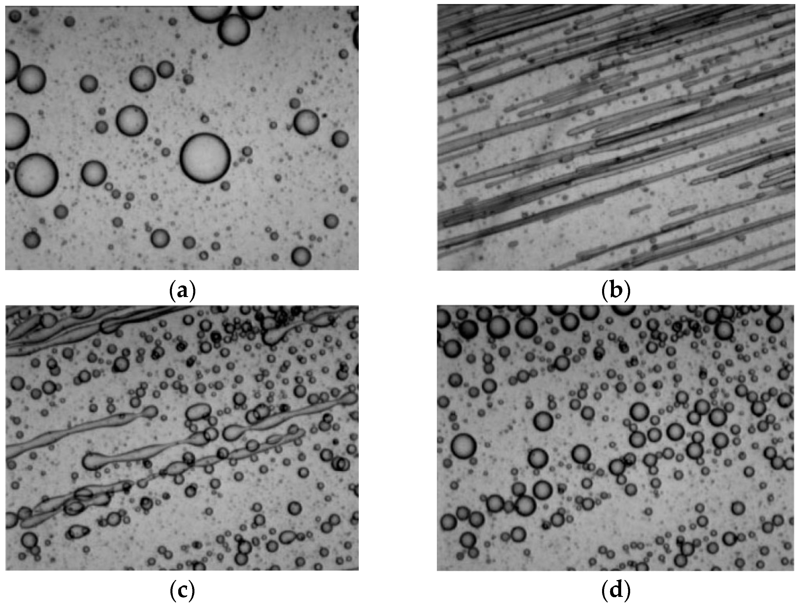 Polymers 13 03783 g002