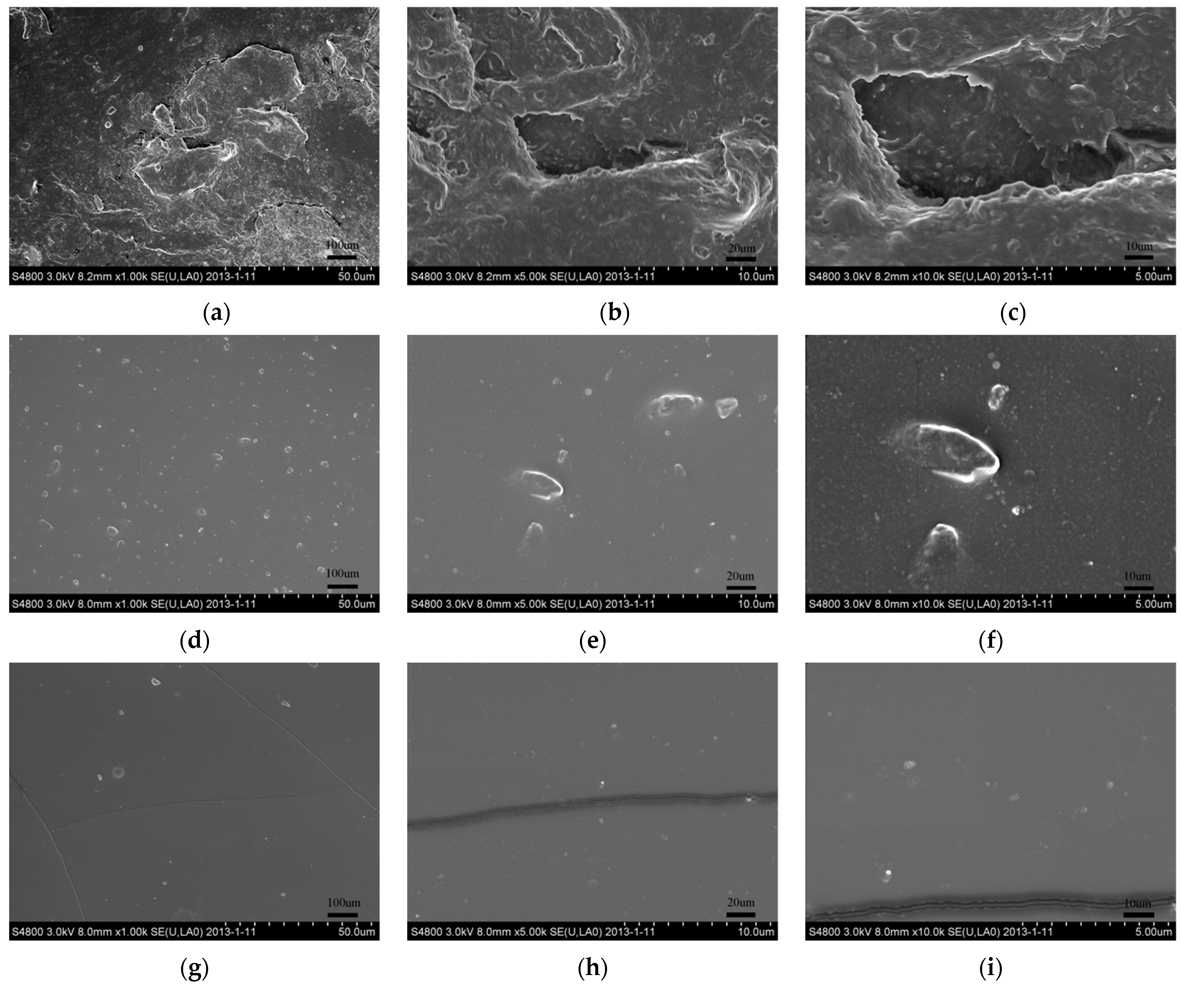 Polymers 13 03784 g012
