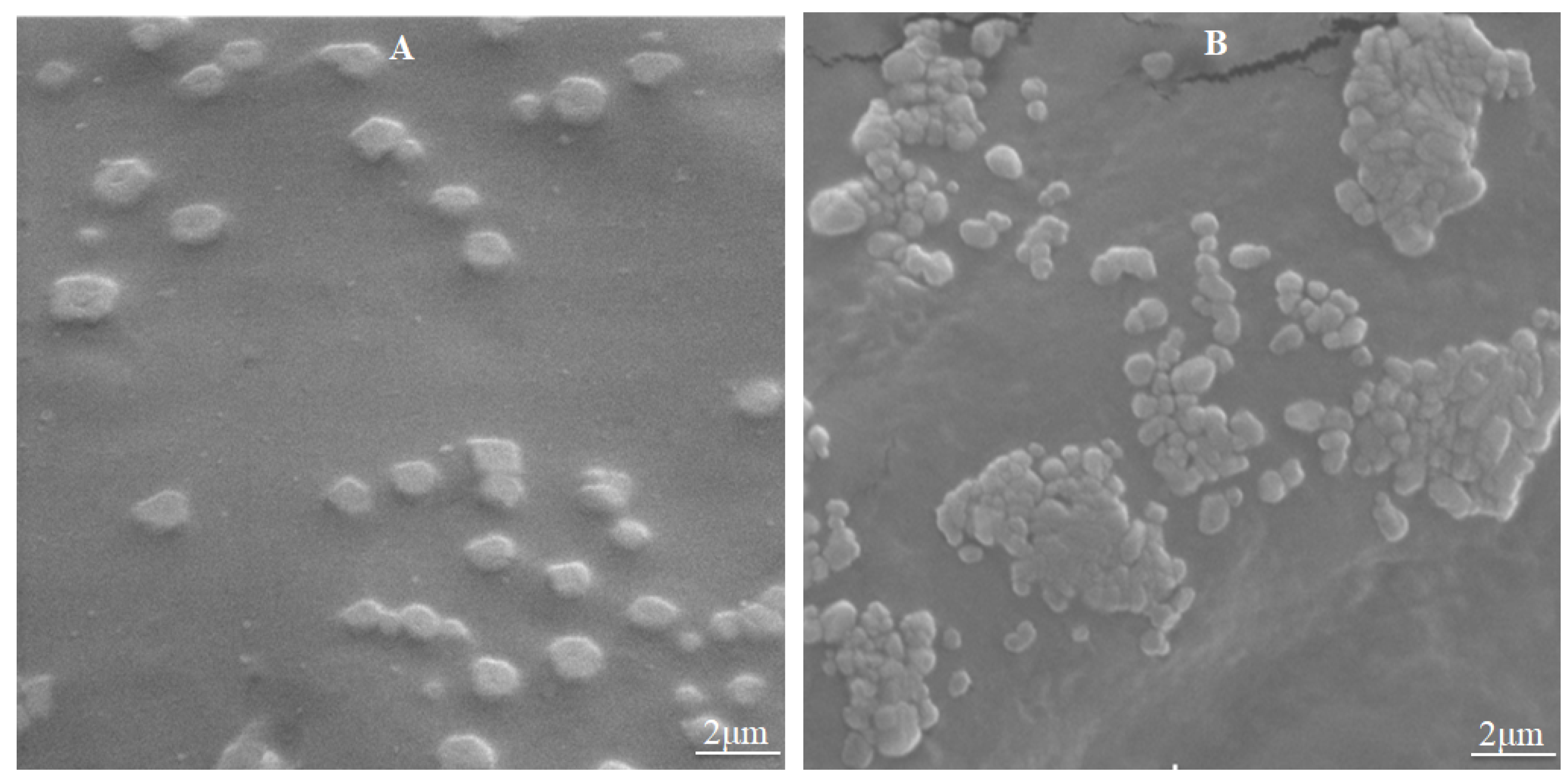 Polymers 13 03785 g003