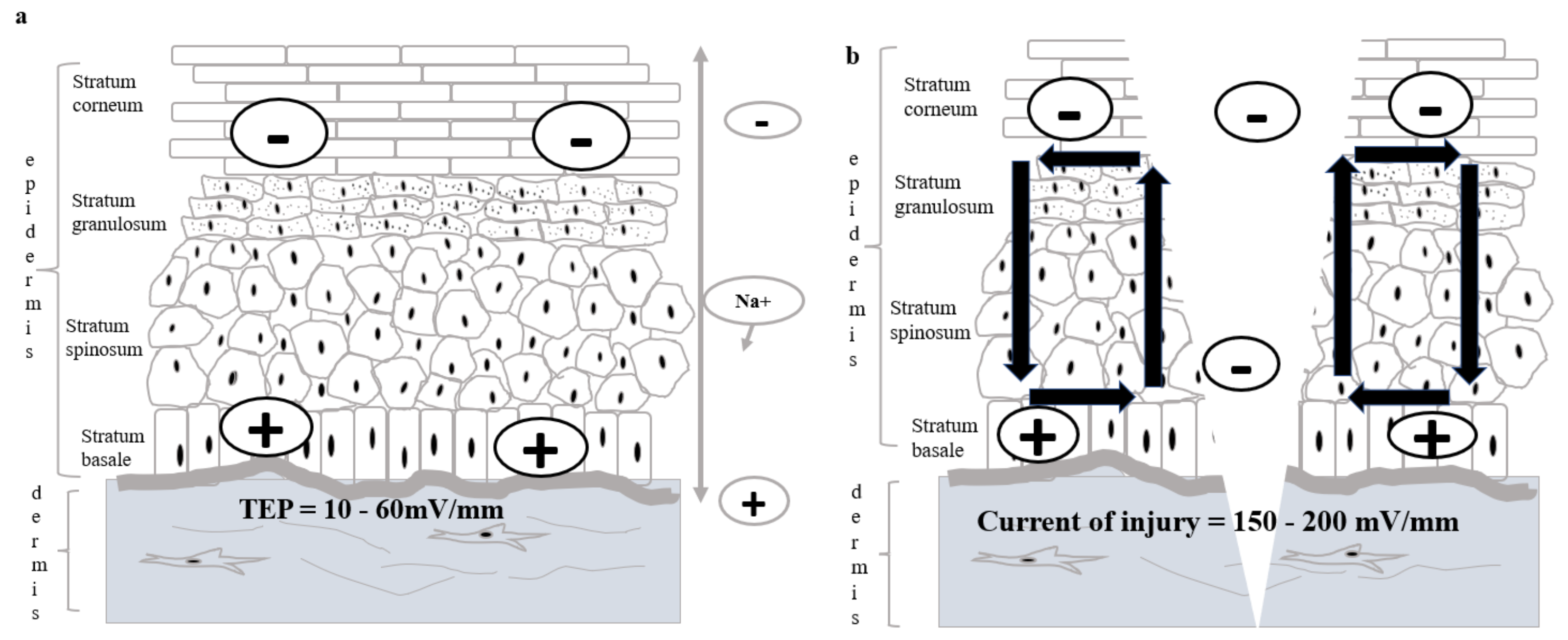Polymers 13 03790 g002