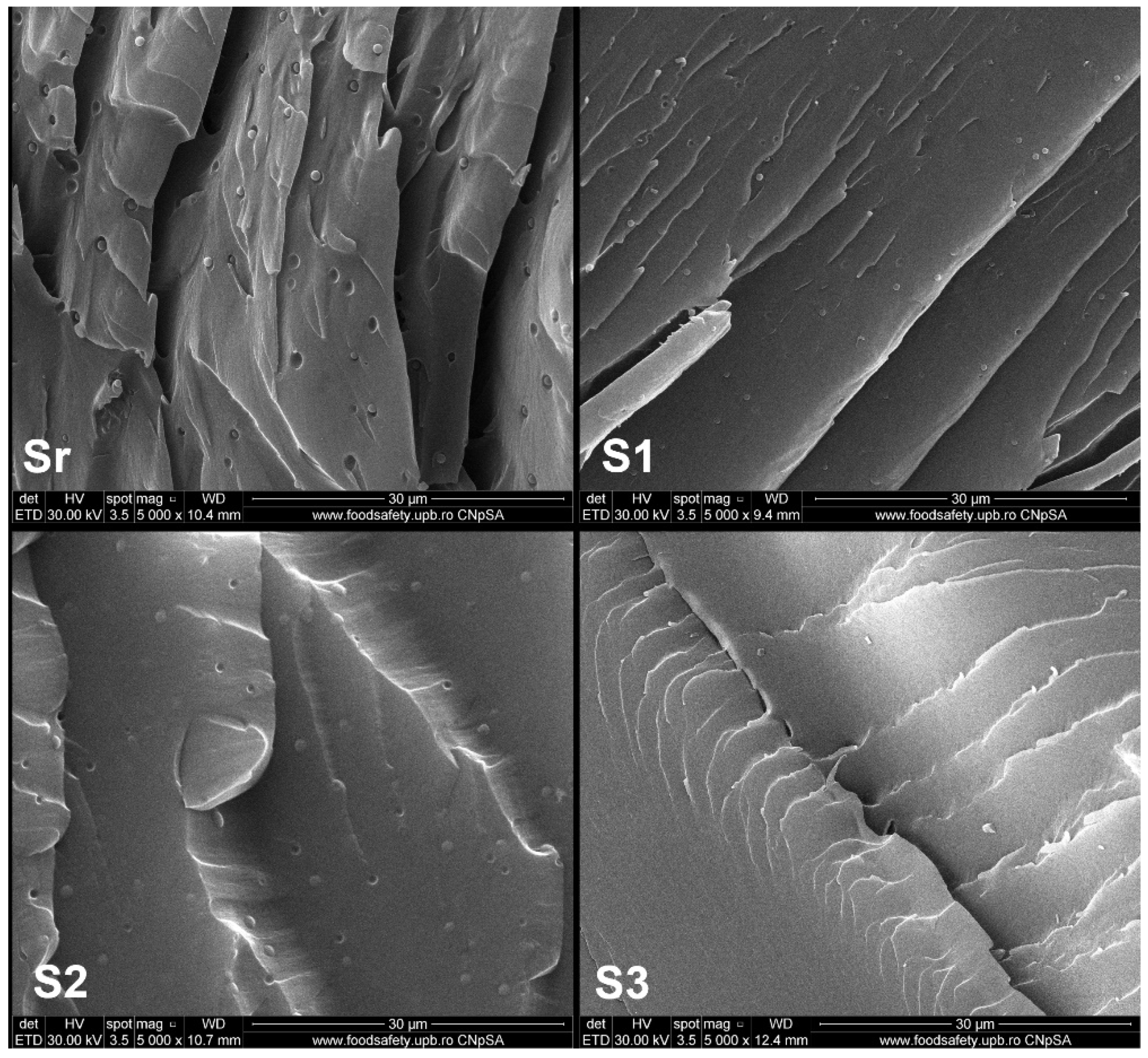 Polymers 13 03792 g005