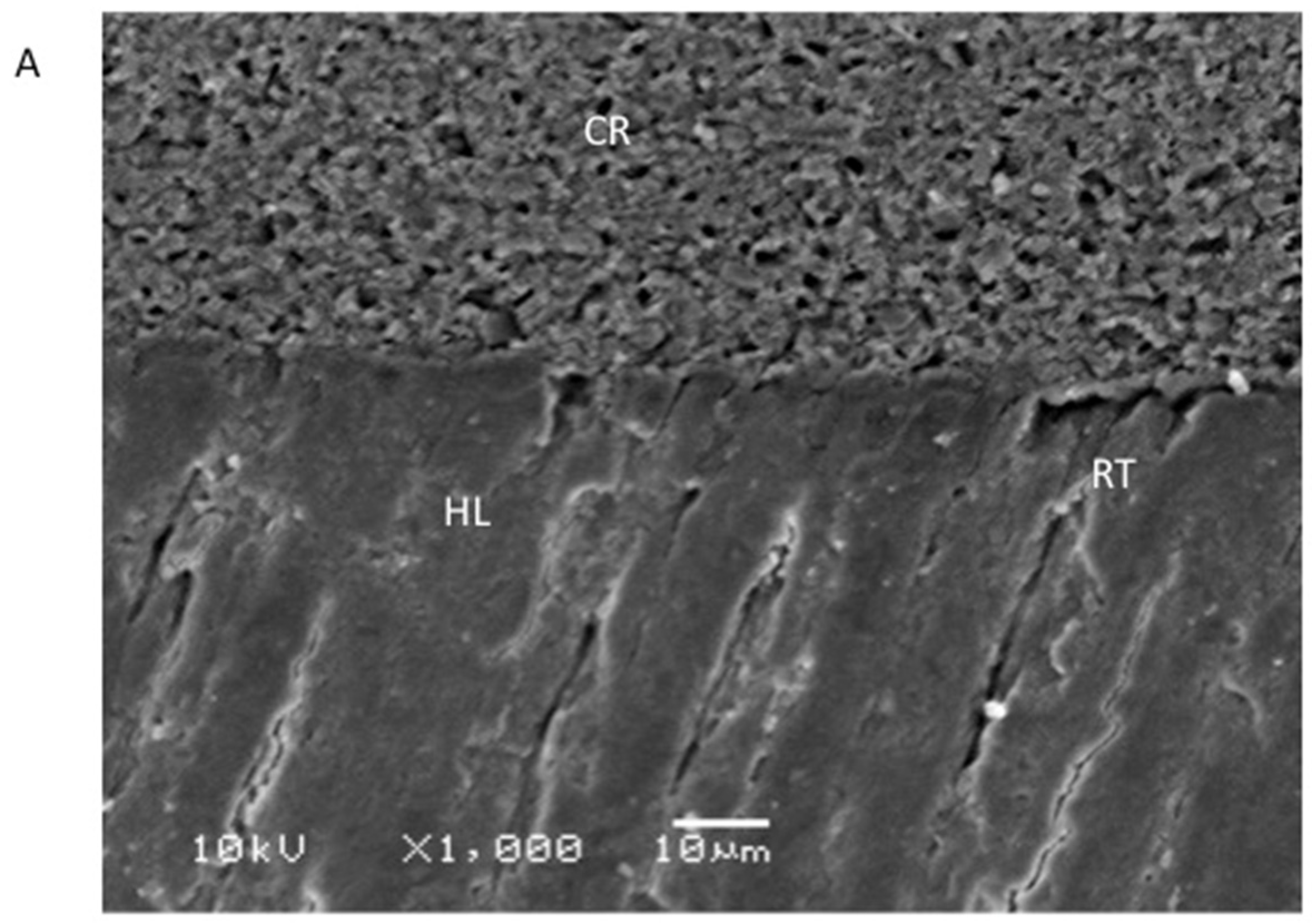 Polymers 13 03794 g004a