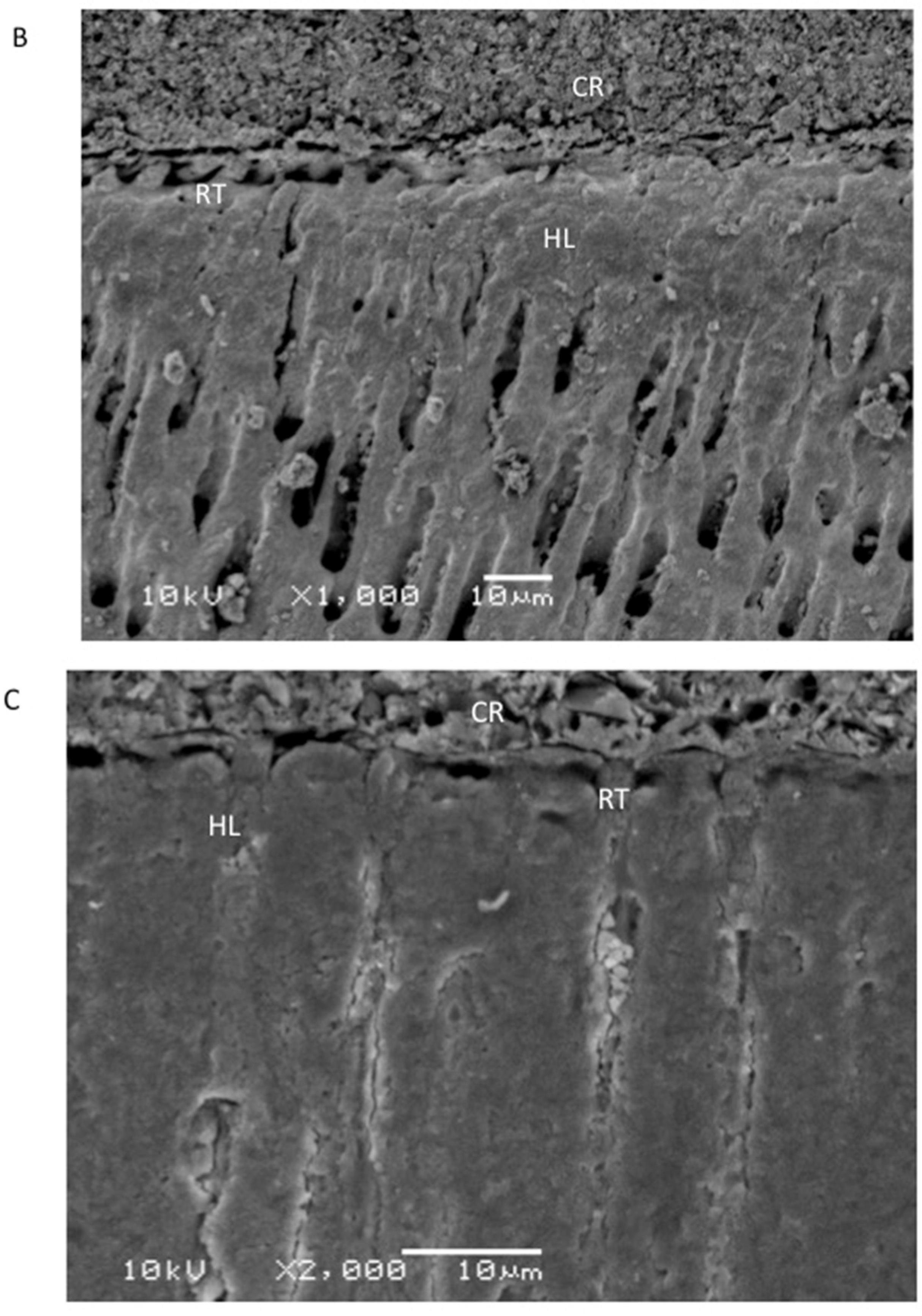 Polymers 13 03794 g004b
