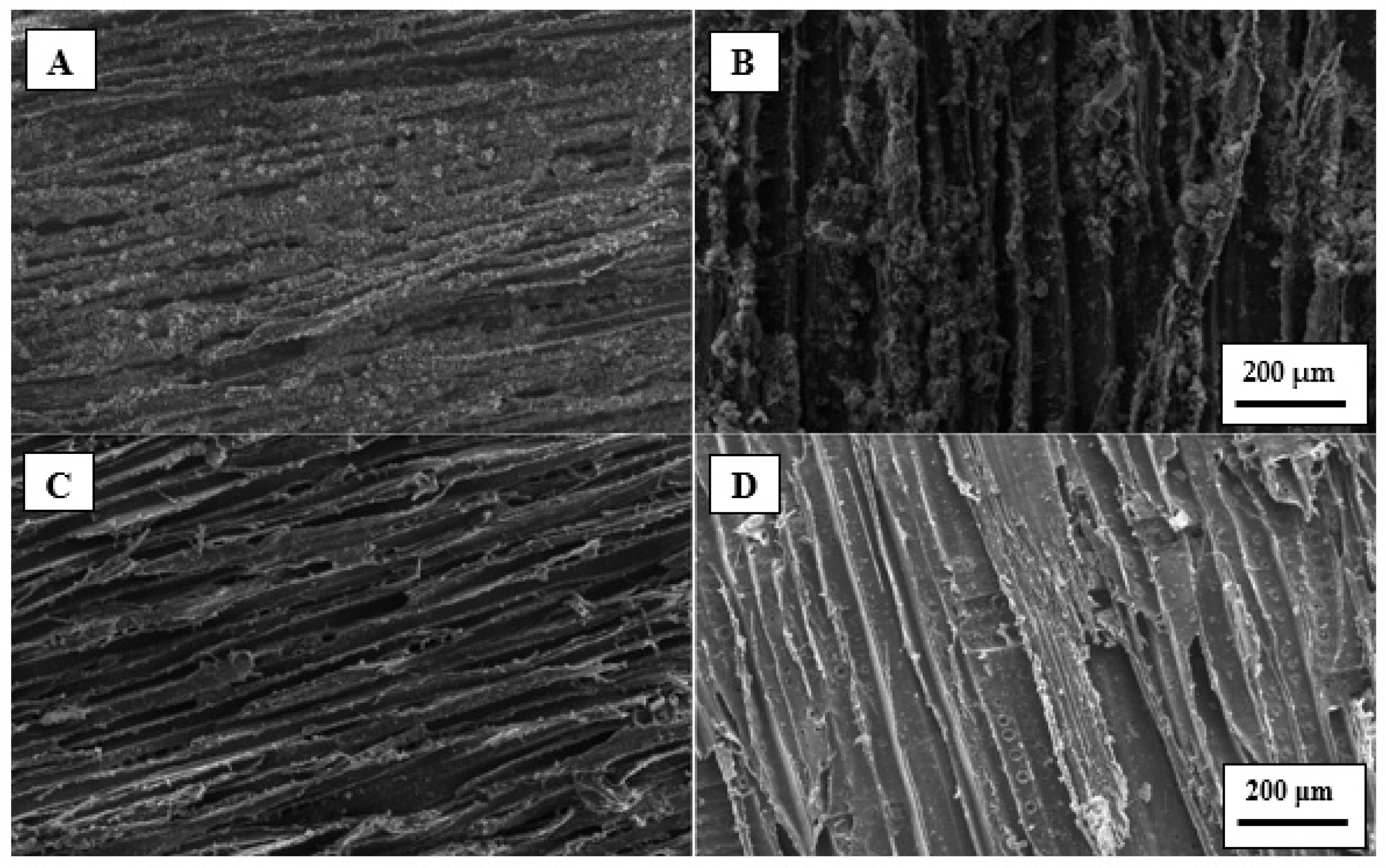 Polymers 13 03795 g006