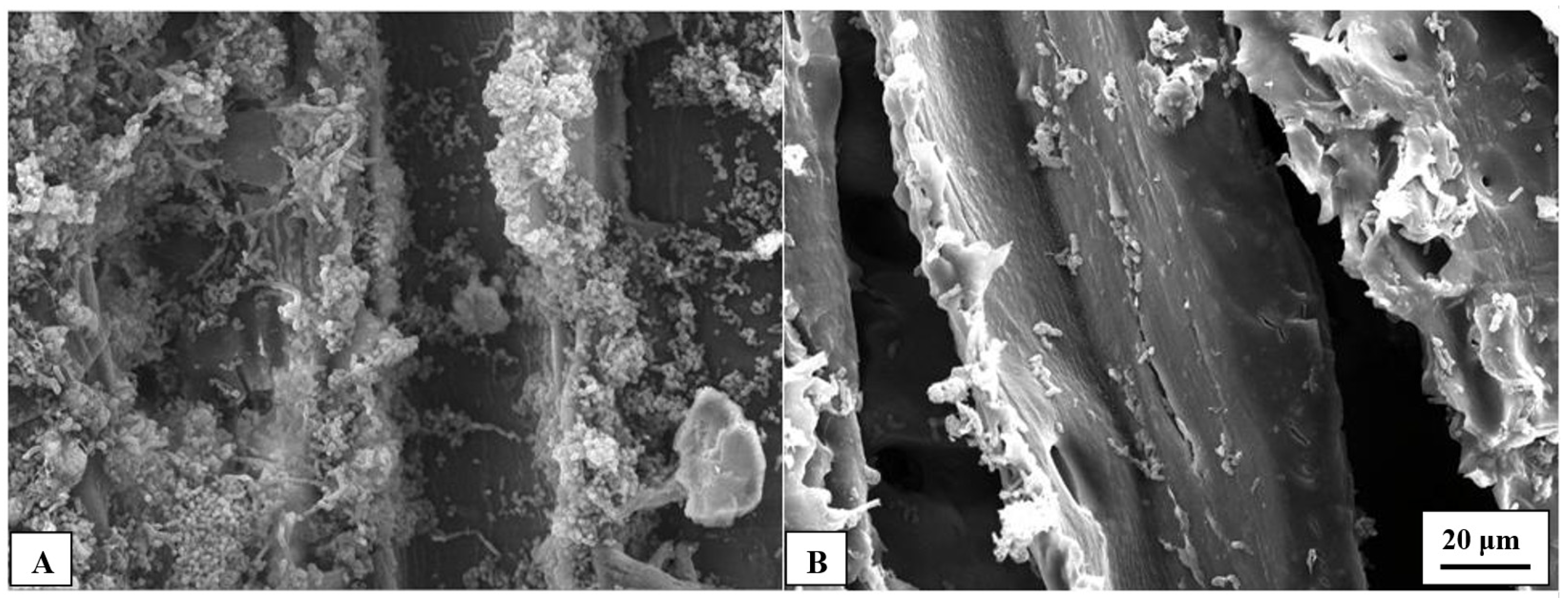 Polymers 13 03795 g007