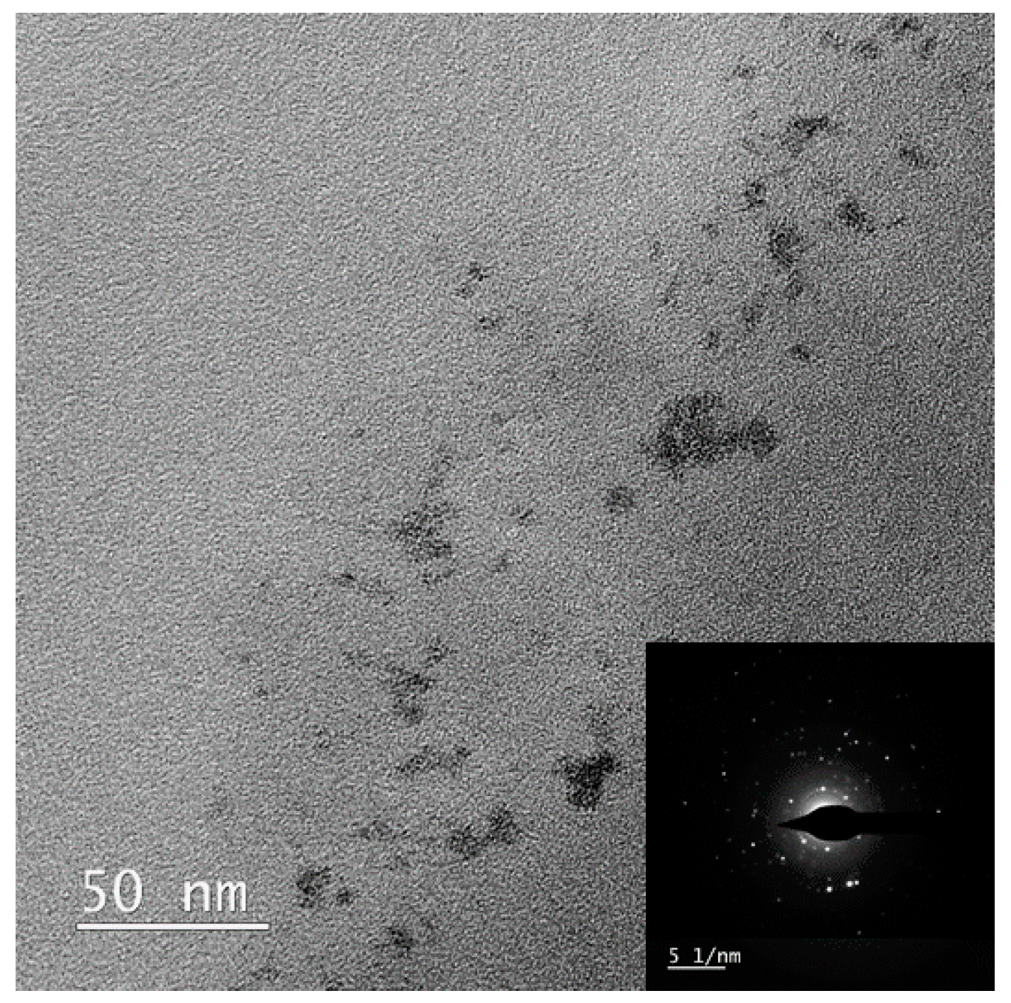 Polymers 13 03796 g008