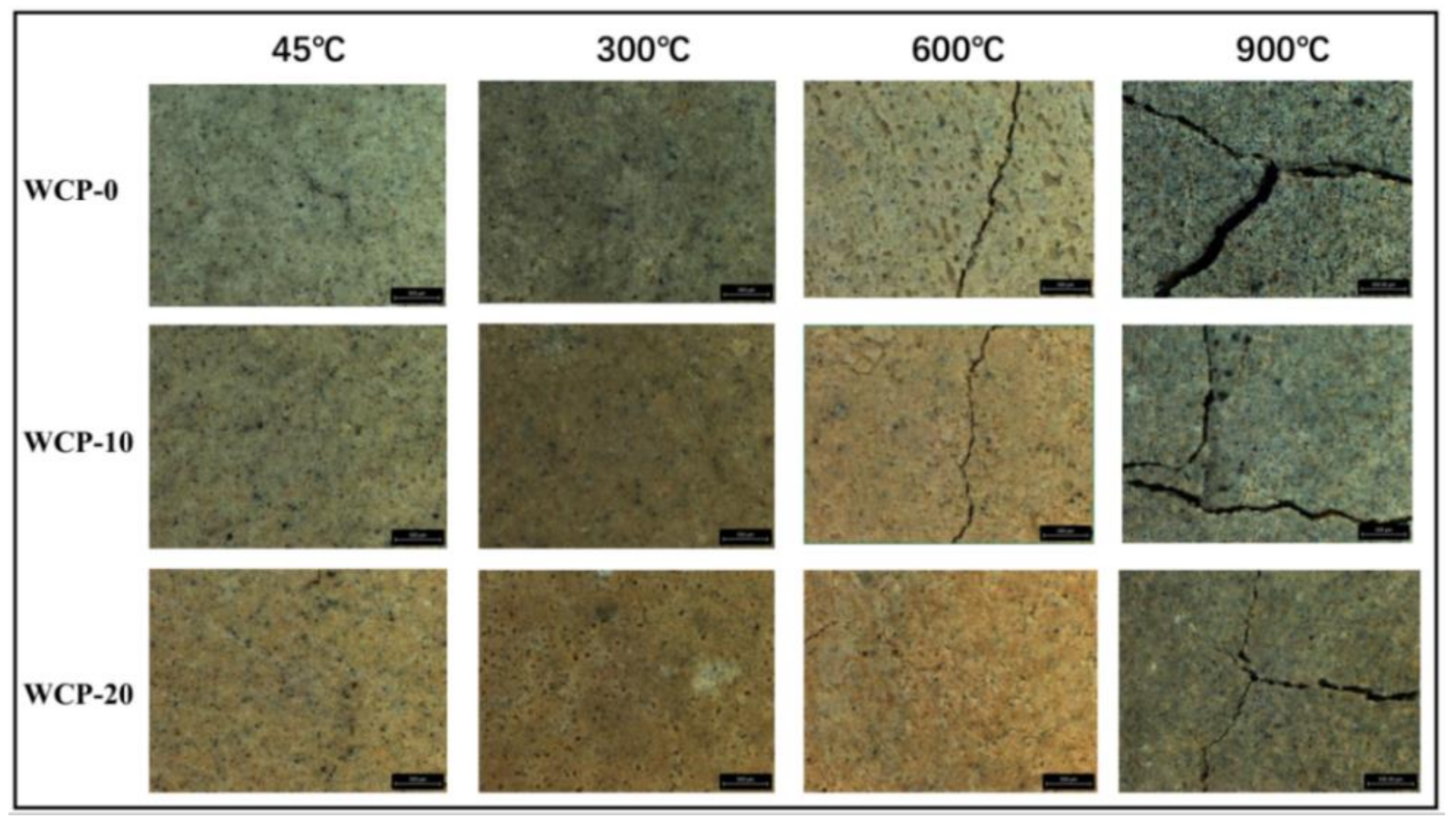 Polymers 13 03797 g005