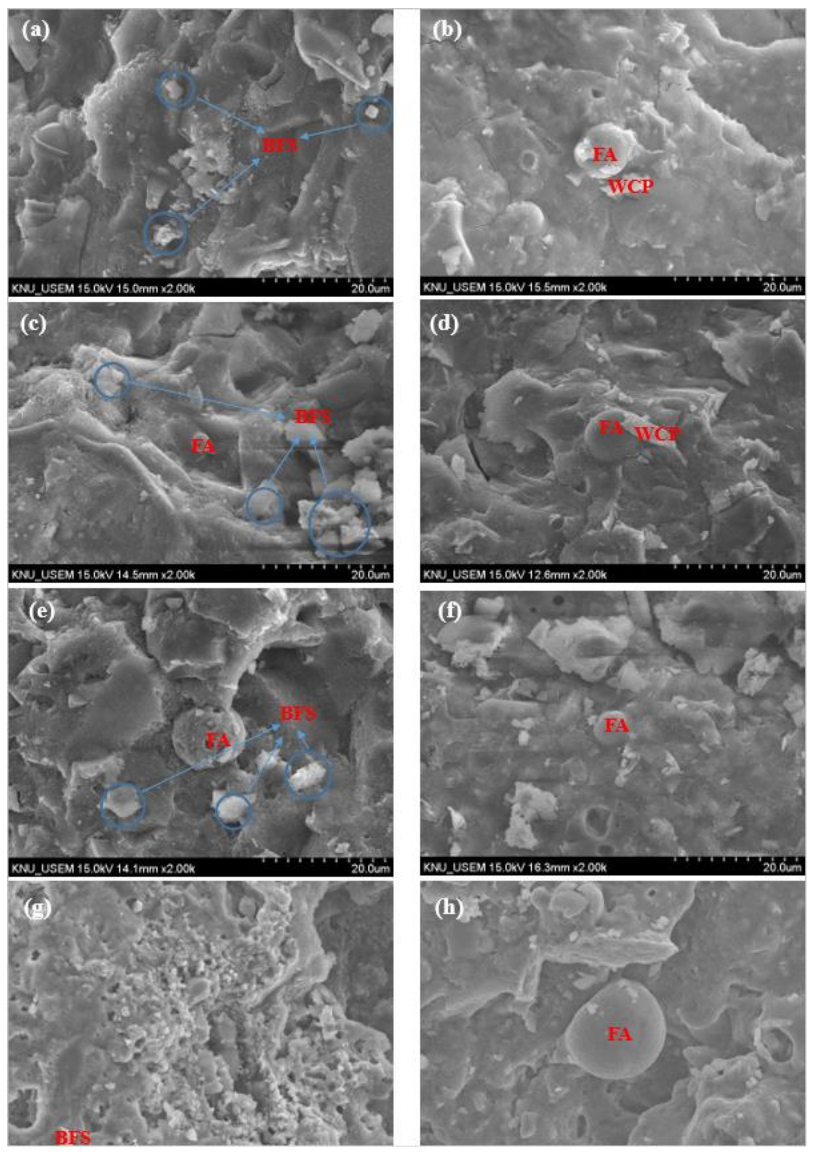 Polymers 13 03797 g010
