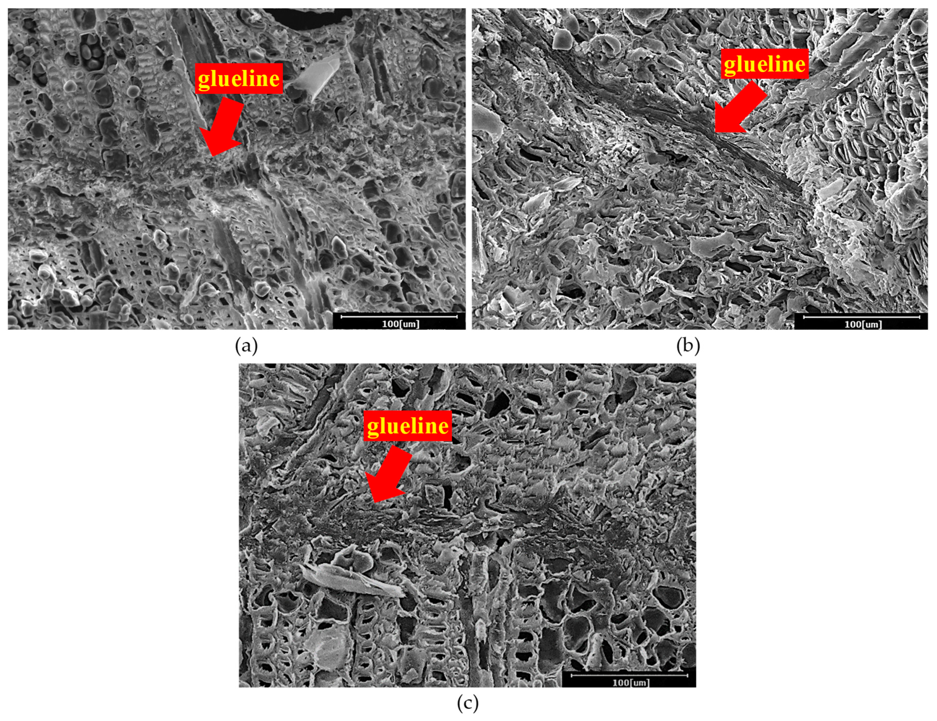 Polymers 13 03799 g003