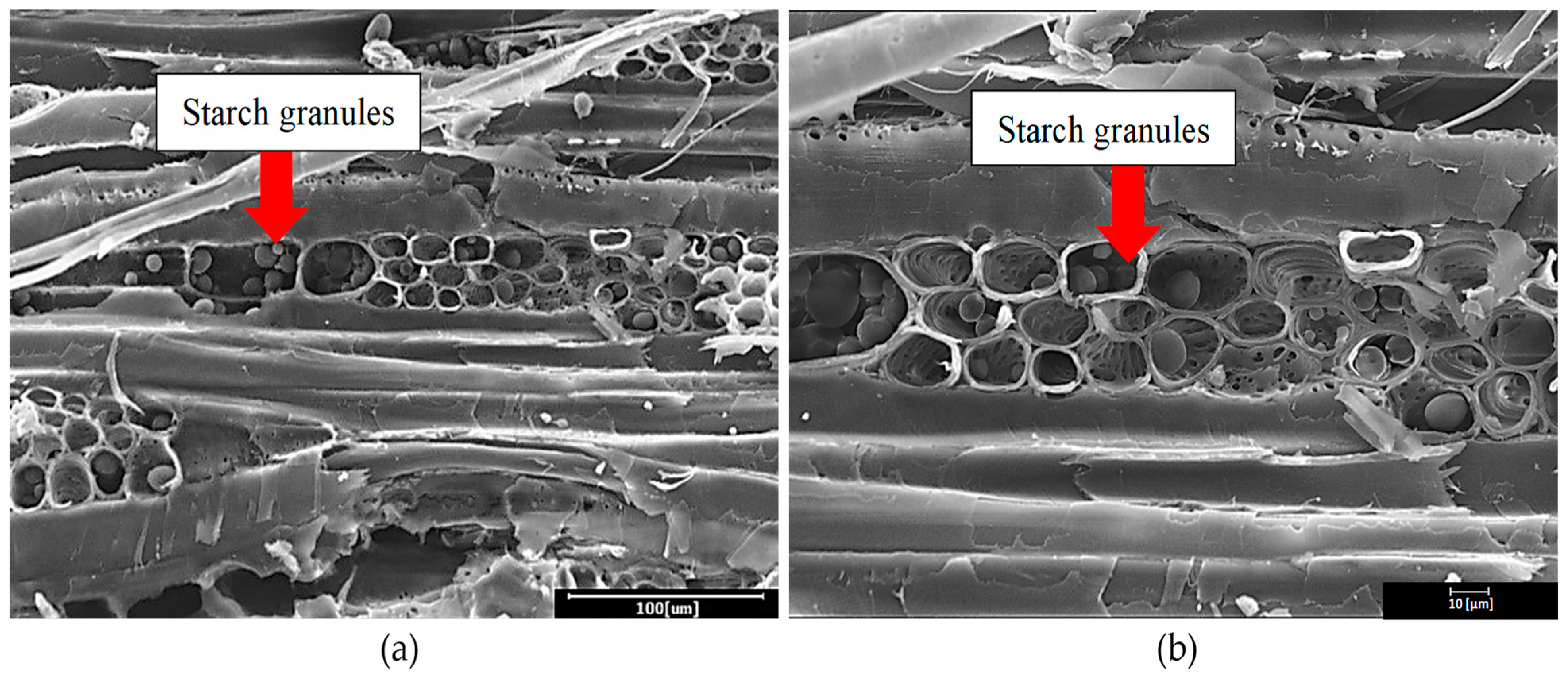 Polymers 13 03799 g004