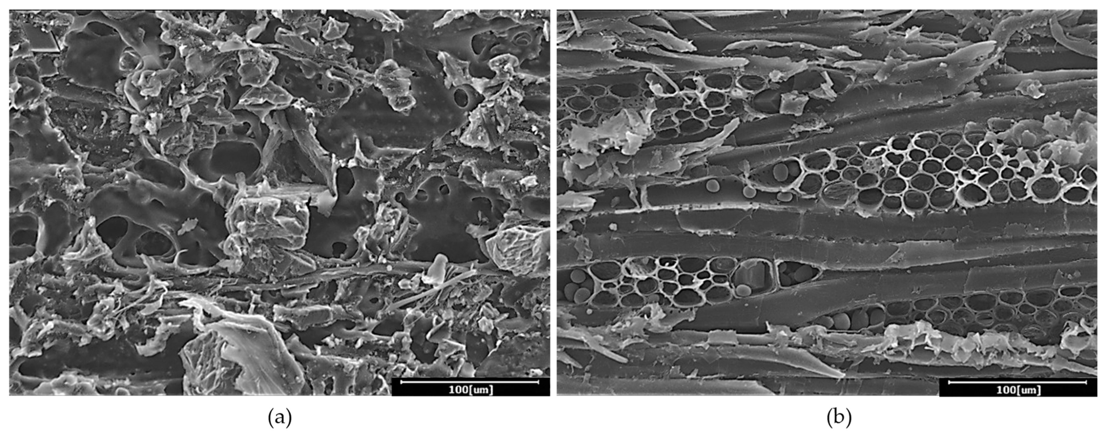 Polymers 13 03799 g006