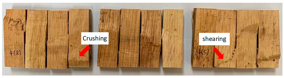 Polymers 13 03799 i001