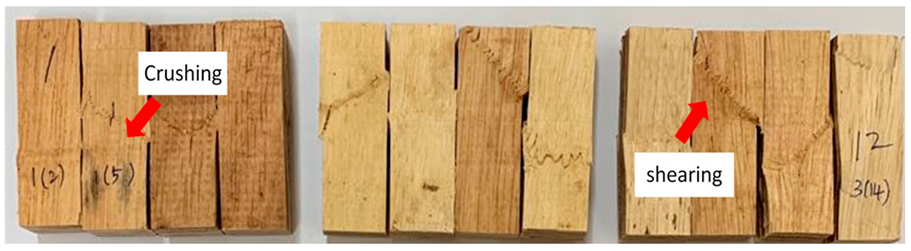 Polymers 13 03799 i003