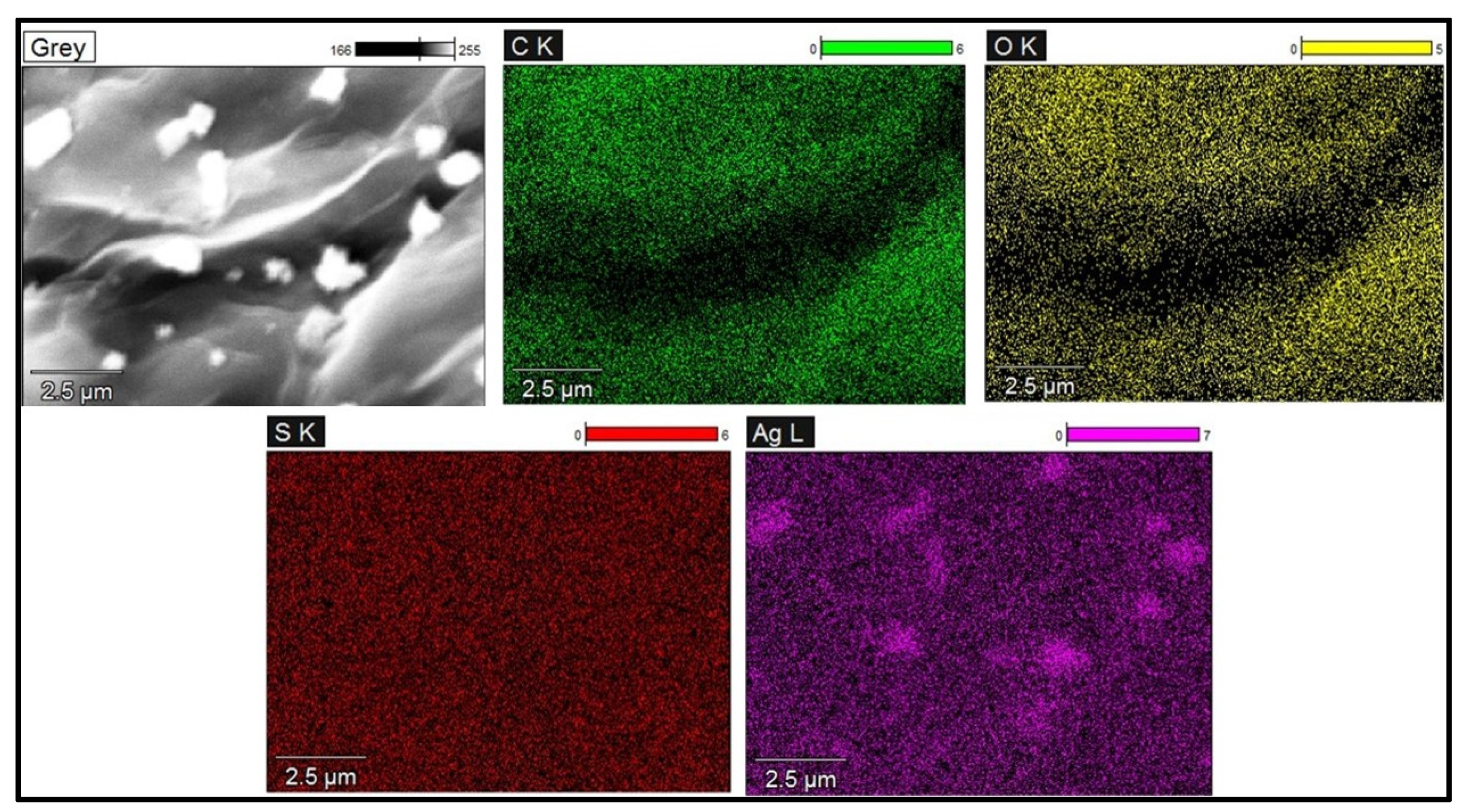 Polymers 13 03800 g004