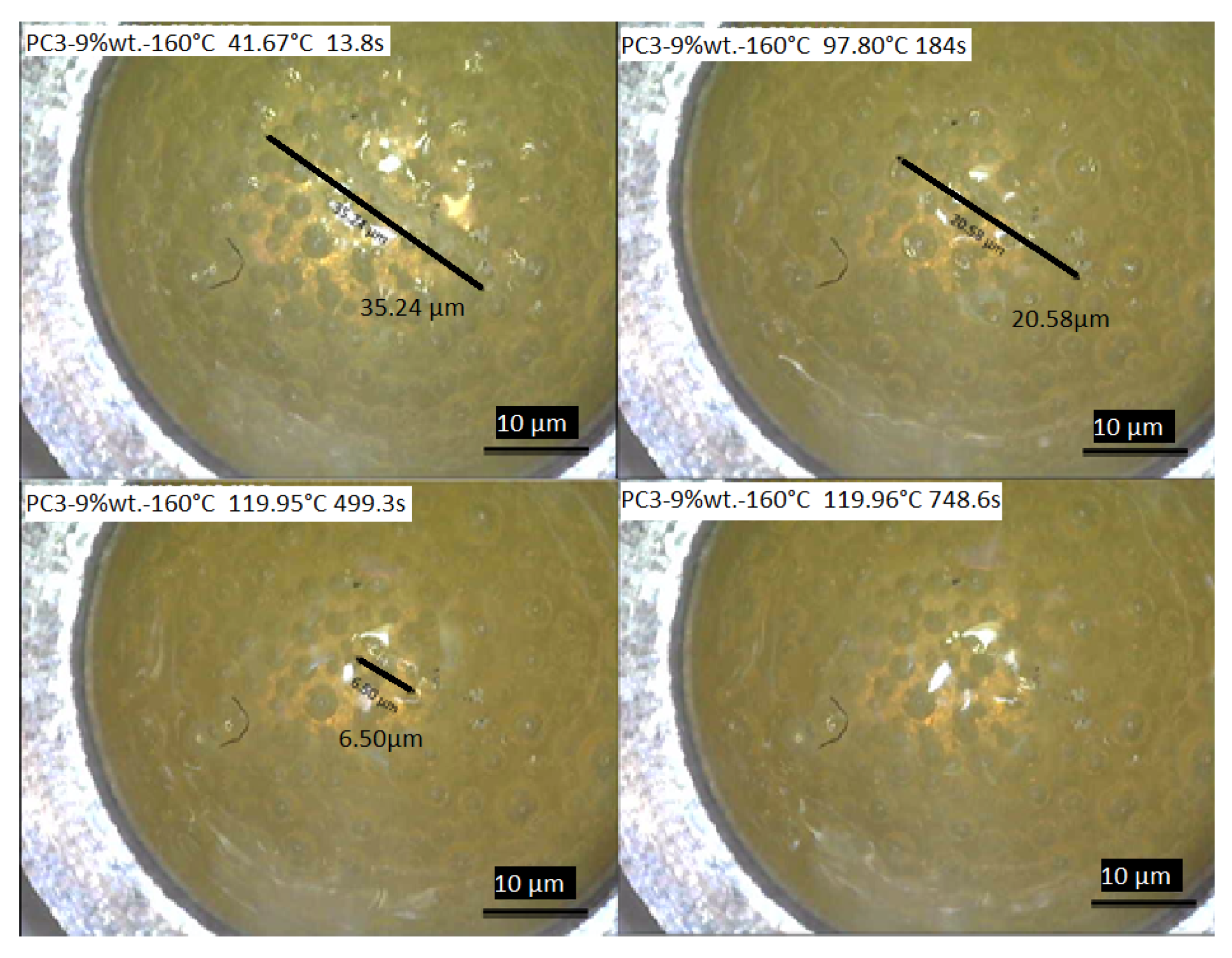 Polymers 13 03803 g012