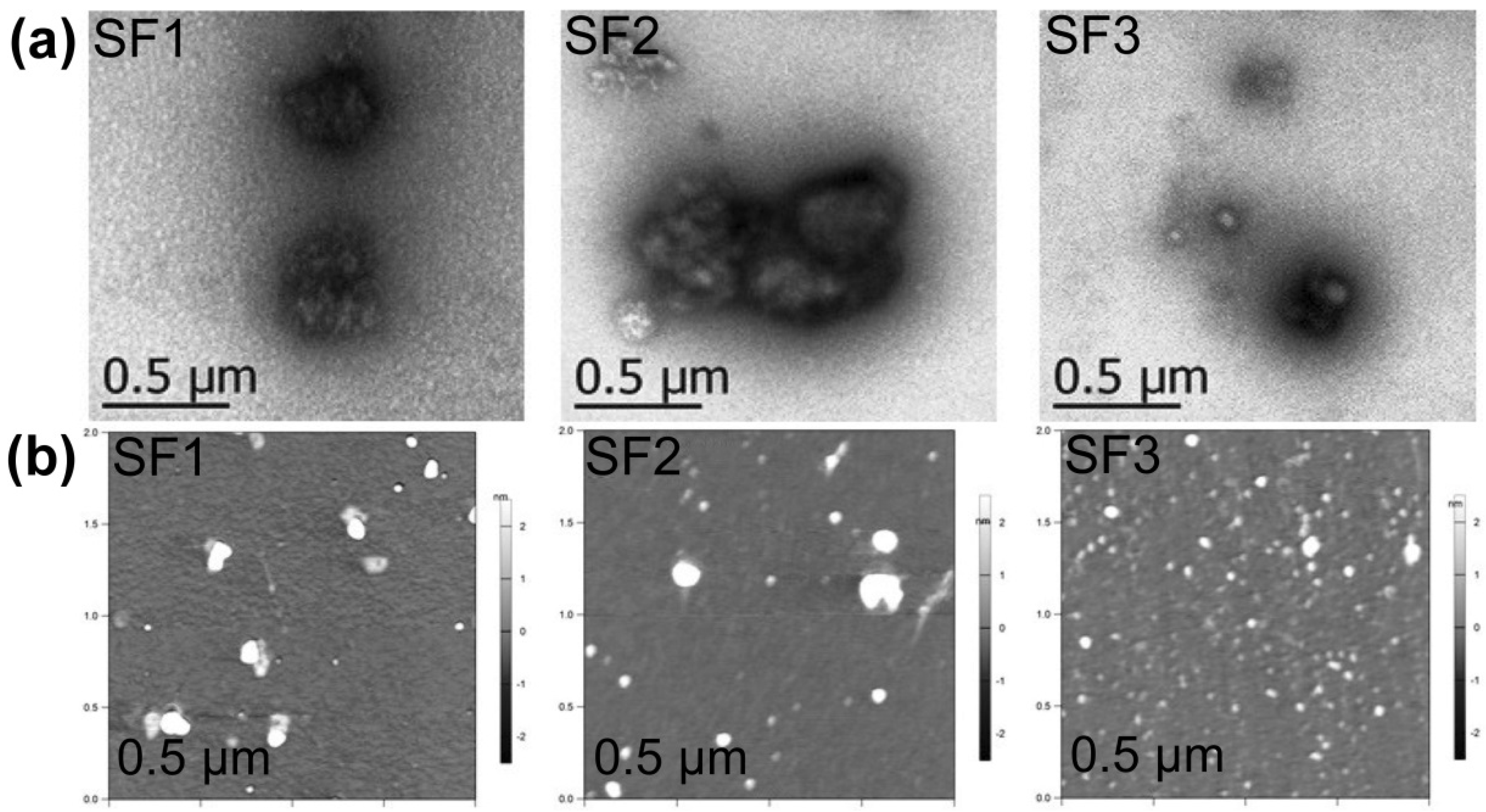 Polymers 13 03804 g003 Polymers 13 03804 g003