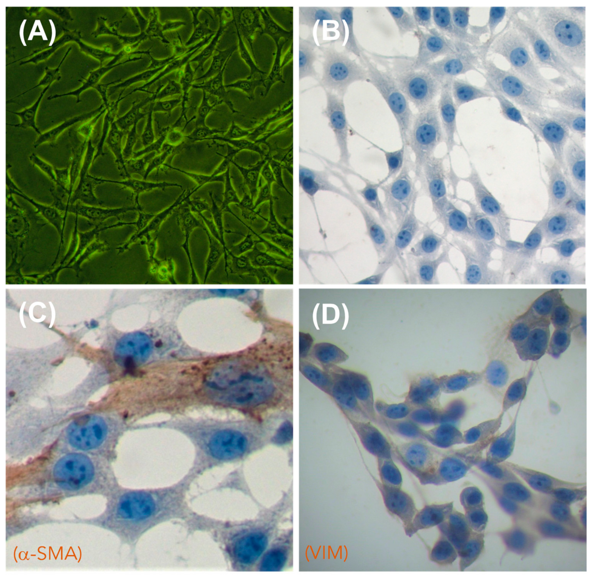 Polymers 13 03806 g011