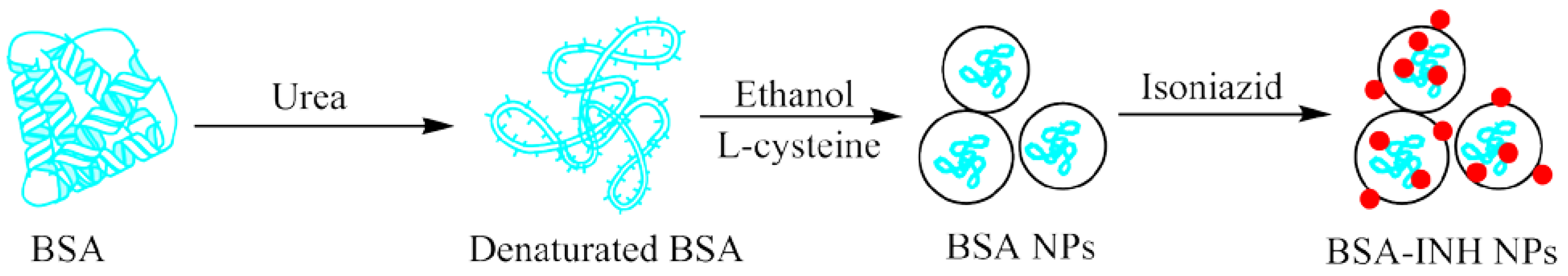 Polymers 13 03808 g001