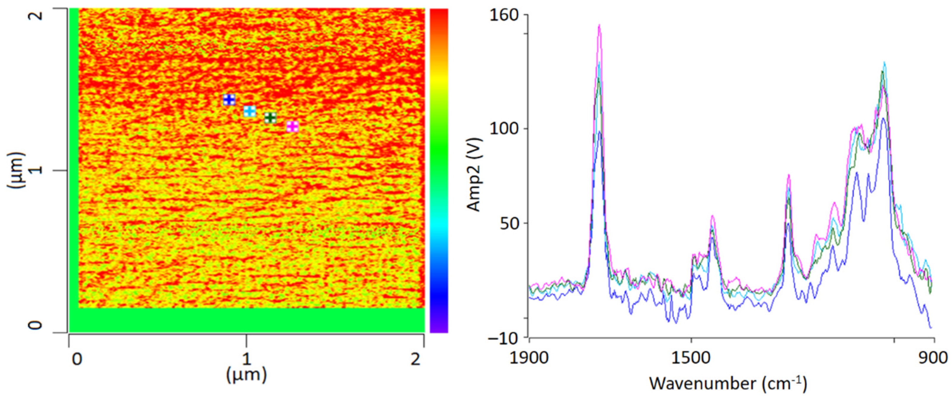 Polymers 13 03809 g003