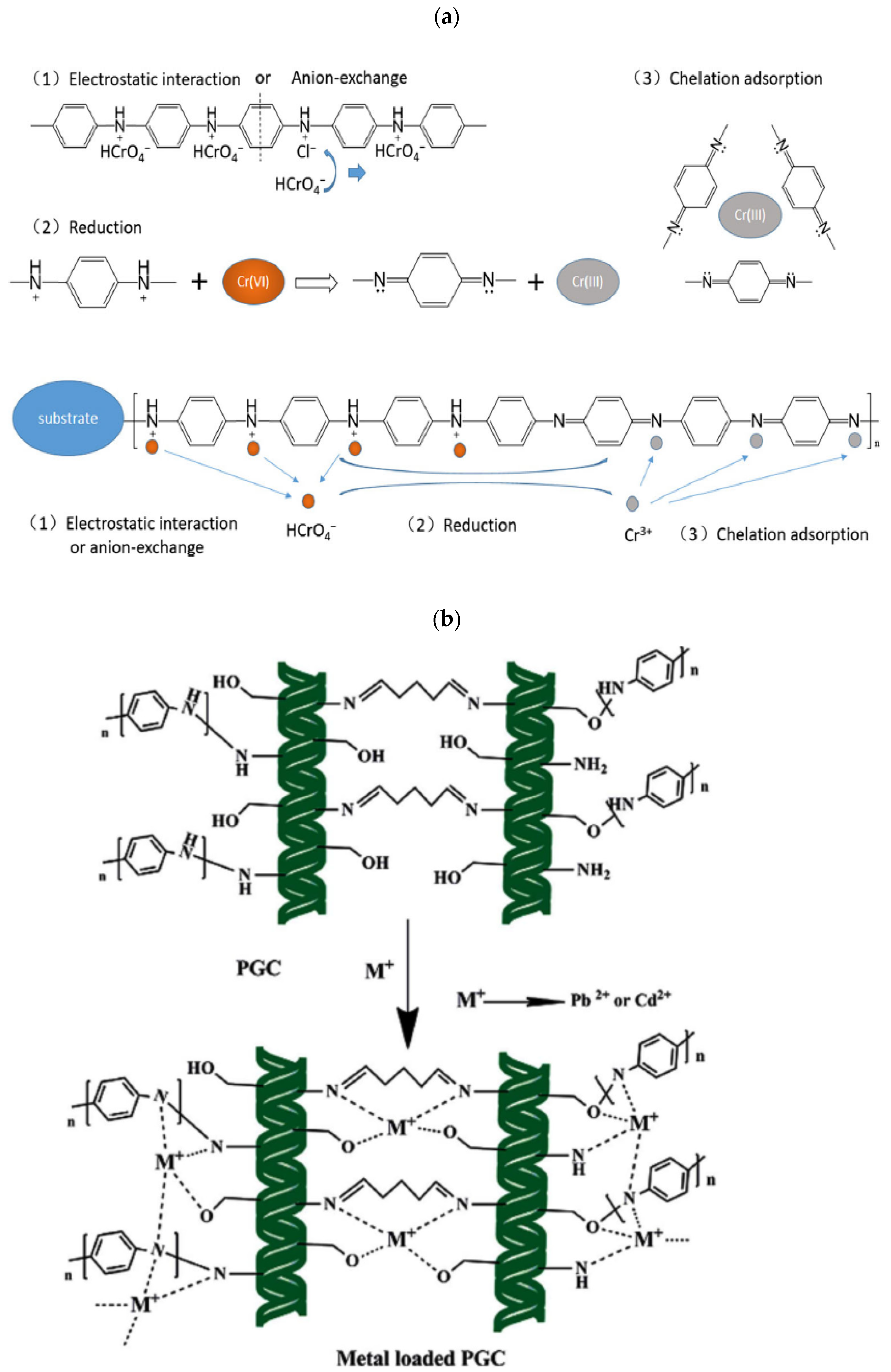 Polymers 13 03810 g002