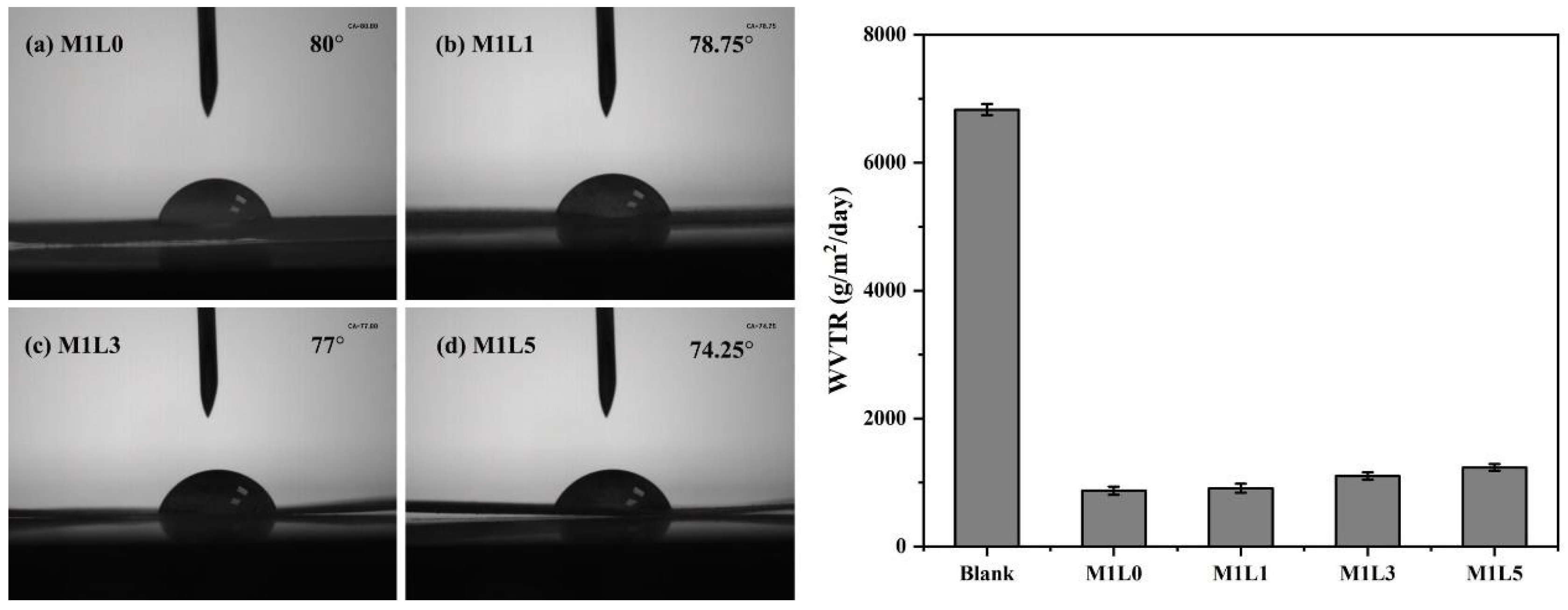 Polymers 13 03813 g003