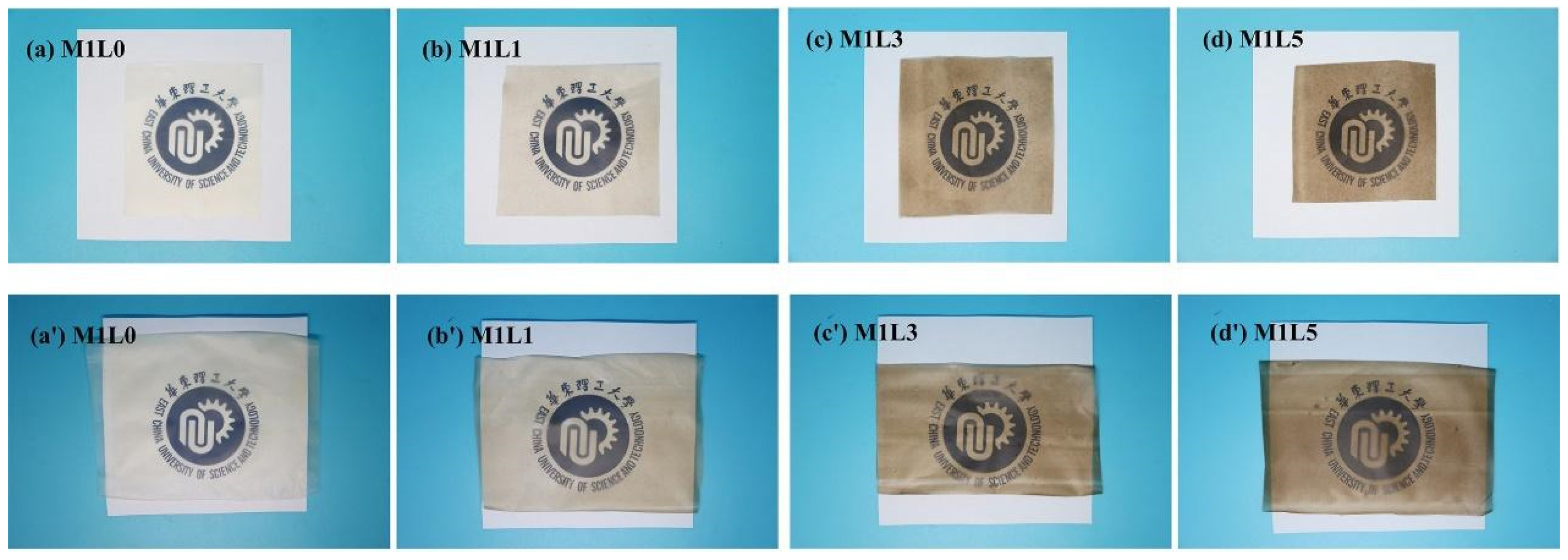 Polymers 13 03813 g007