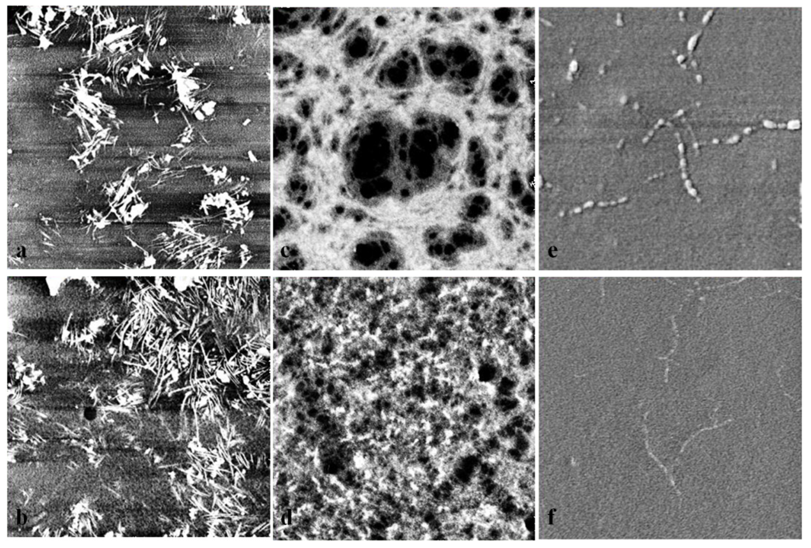 Polymers 13 03818 g007 Polymers 13 03818 g007