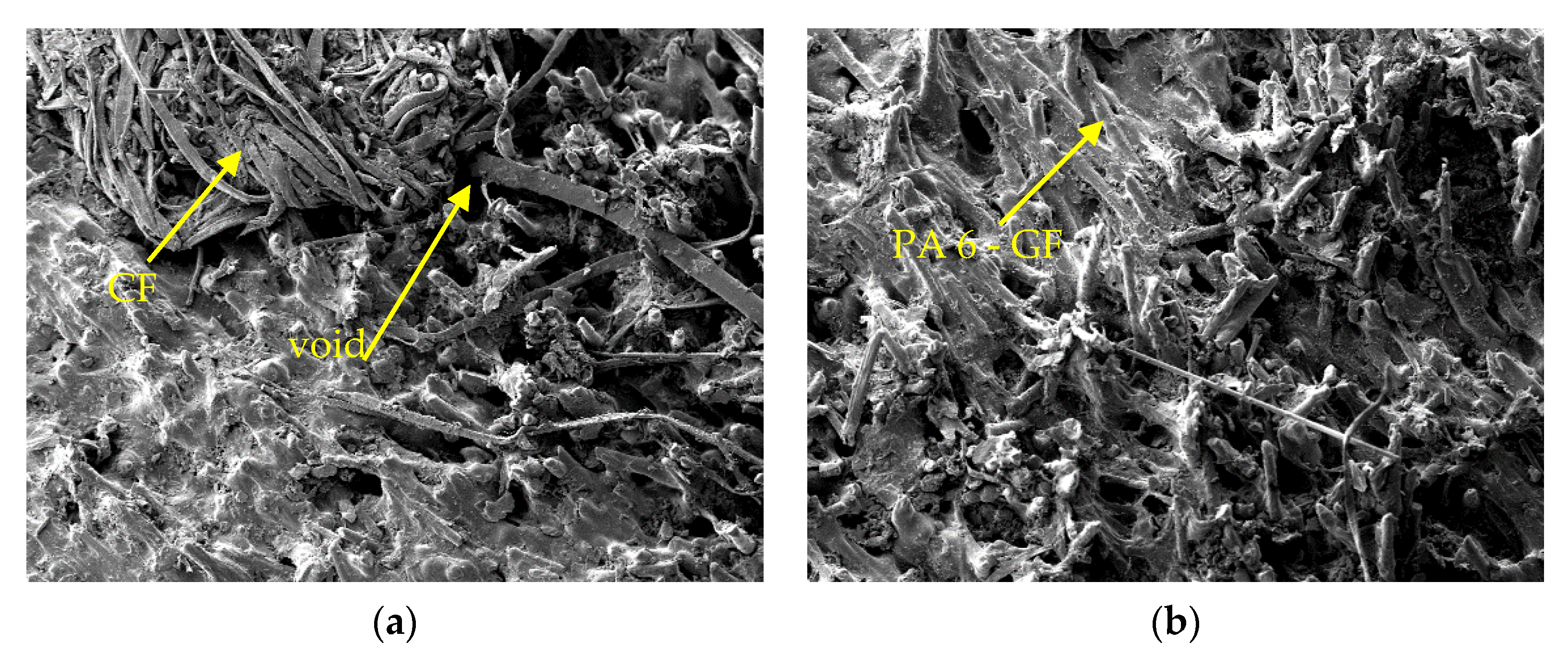 Polymers 13 03820 g006 Polymers 13 03820 g006