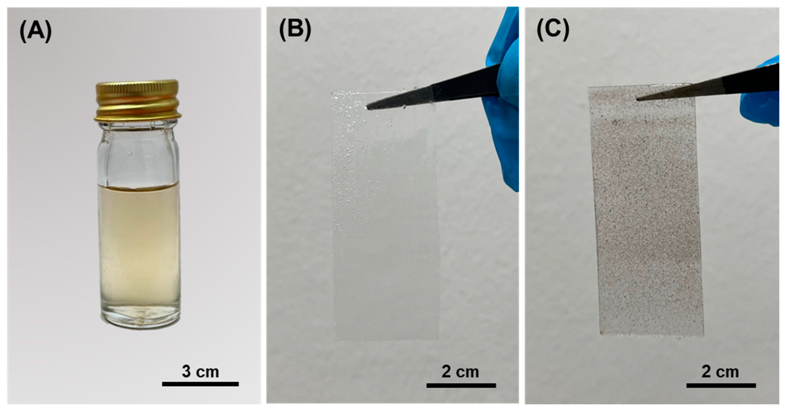 Polymers 13 03822 g002
