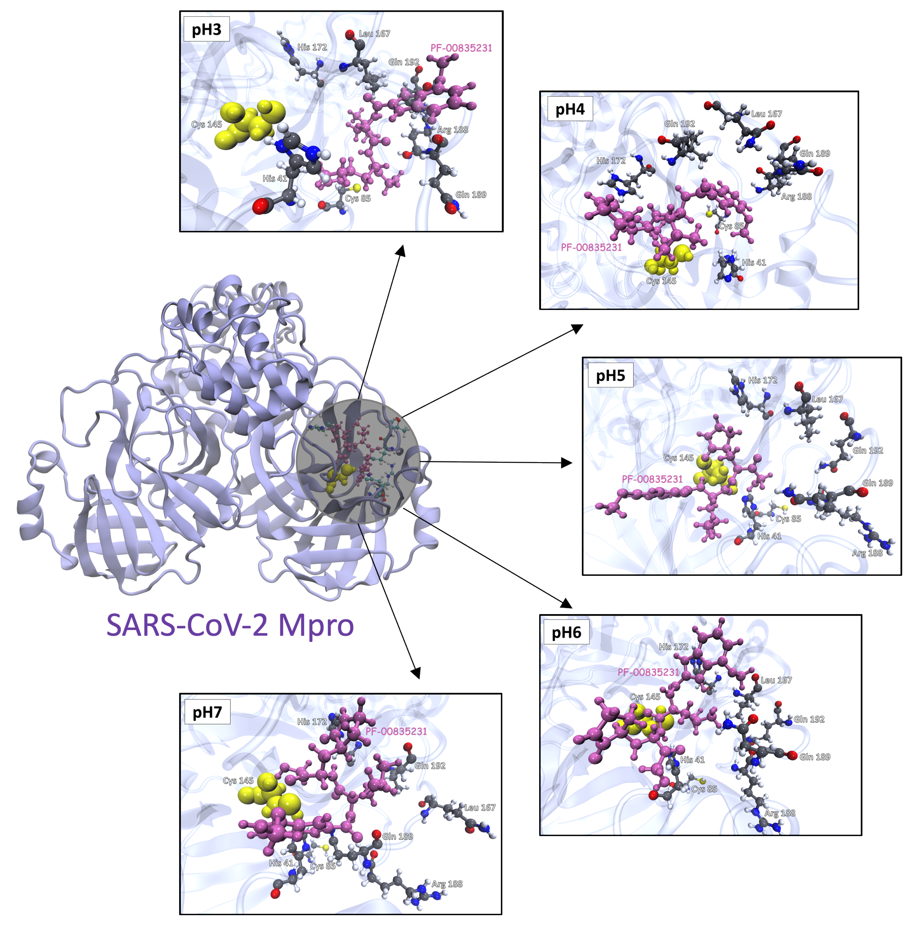 Polymers 13 03823 g011 Polymers 13 03823 g011