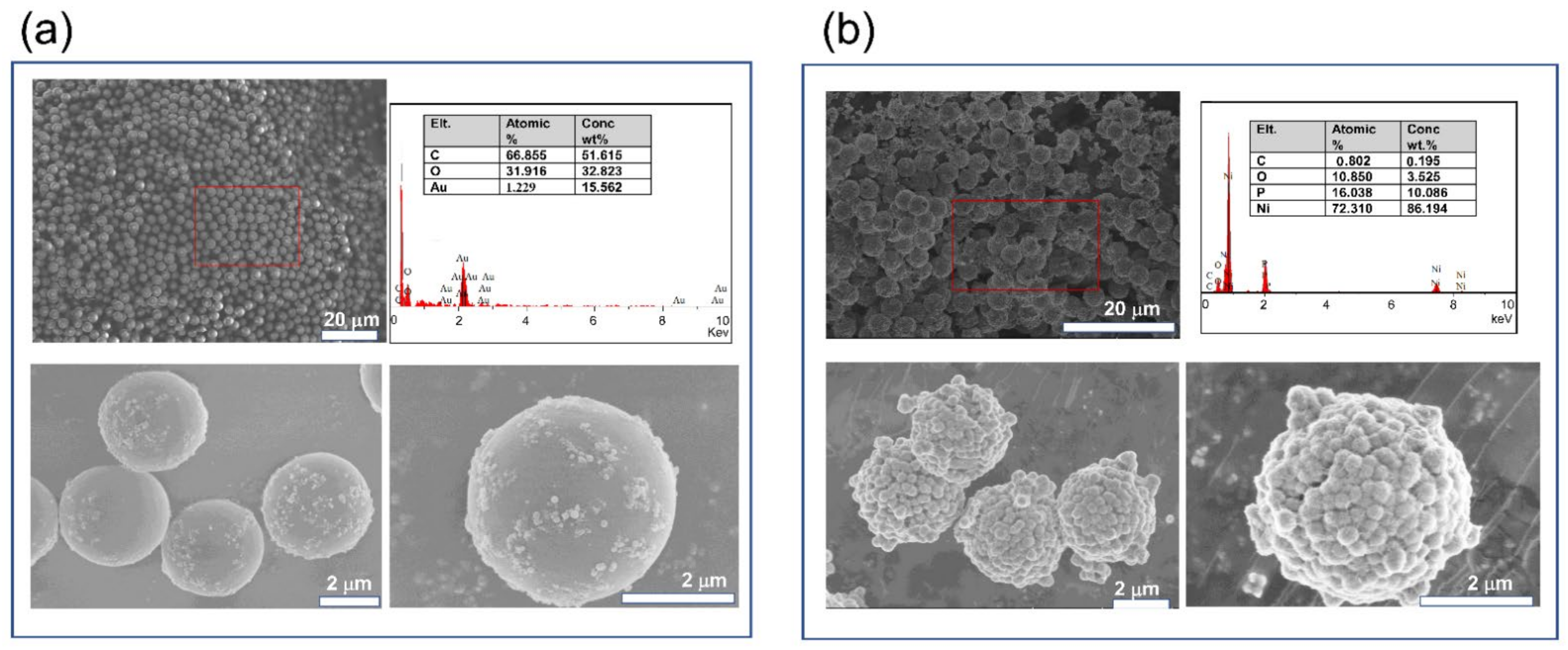 Polymers 13 03826 g002